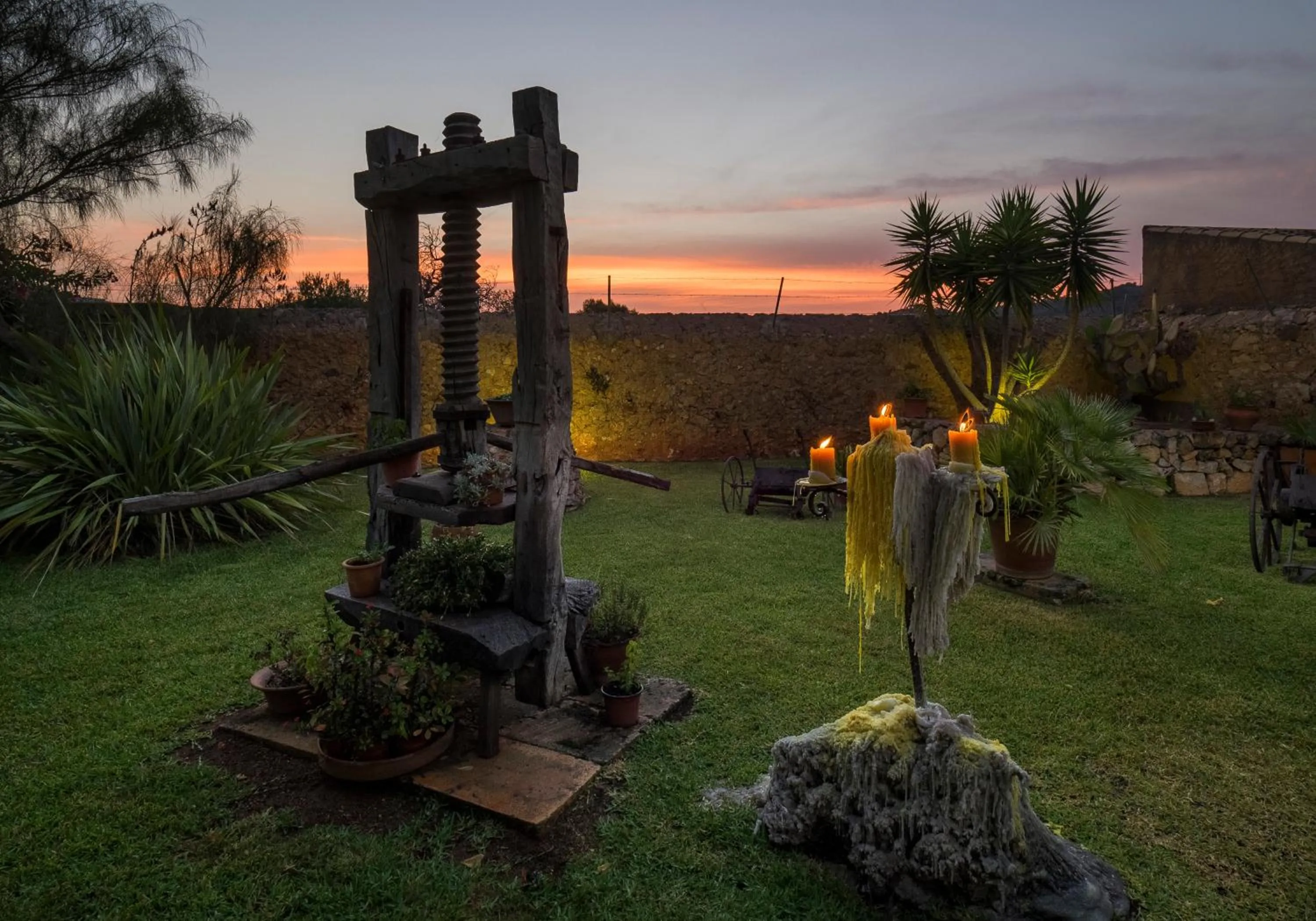 Garden in Protur Residencia Son Floriana