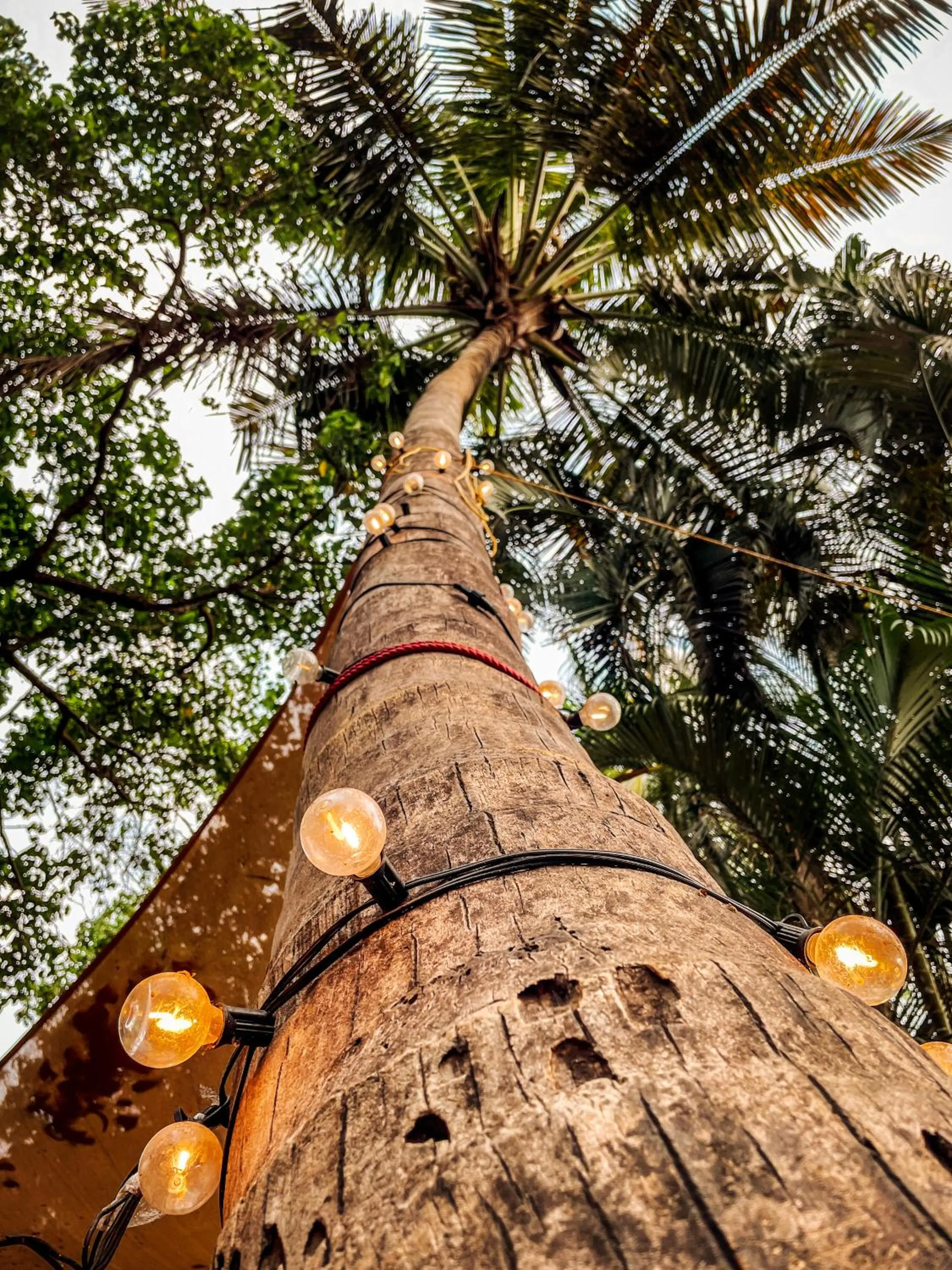 Decorative detail in SPACELAND Mandrem