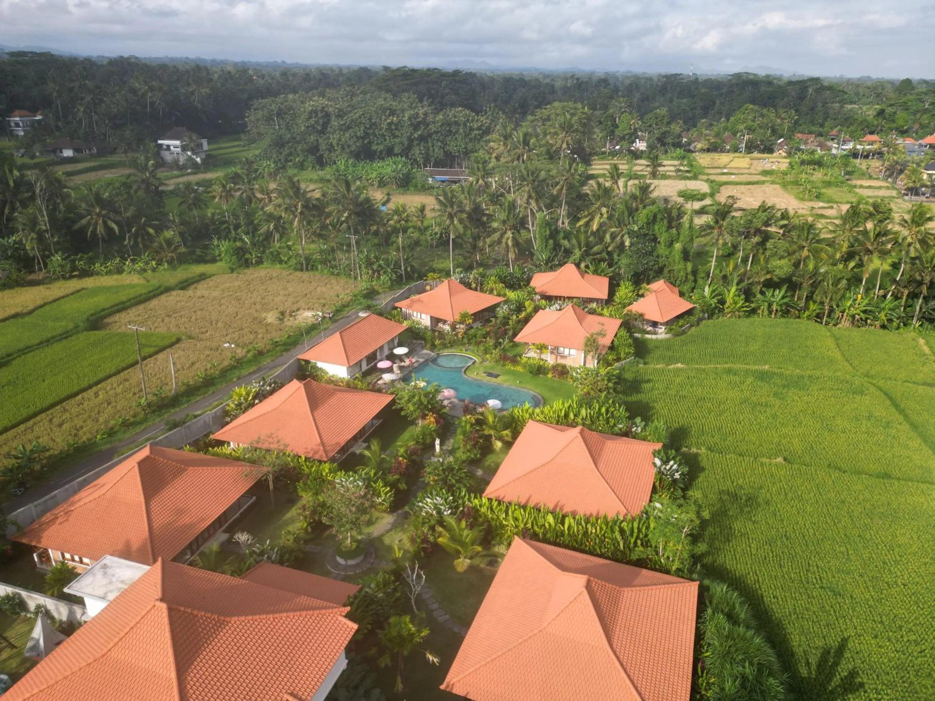 View (from property/room) in Kampung Uma Dawa Villas and Spa