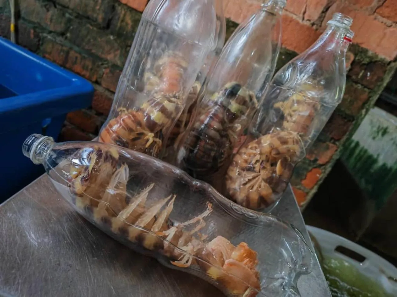 Restaurant/places to eat in Boxinn The Kontena Home