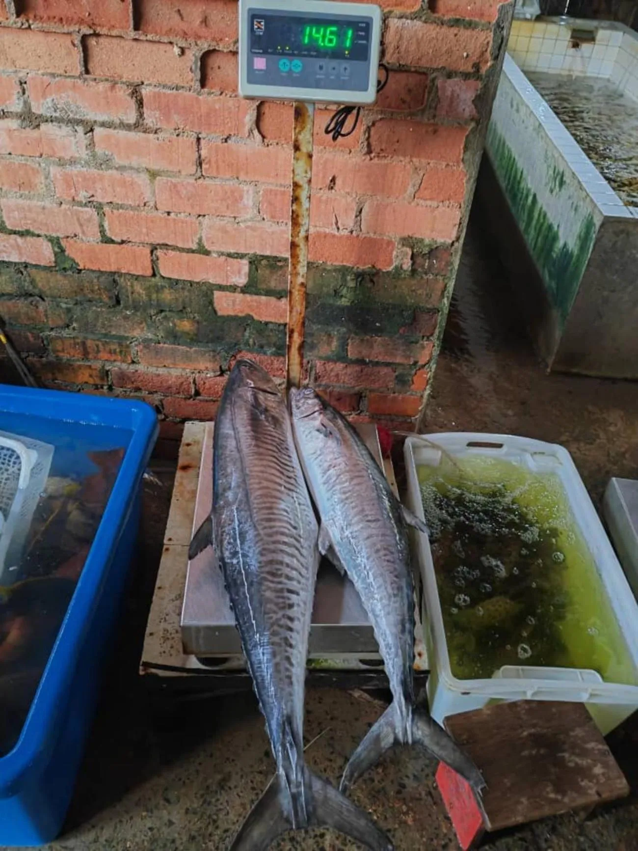 Restaurant/places to eat in Boxinn The Kontena Home