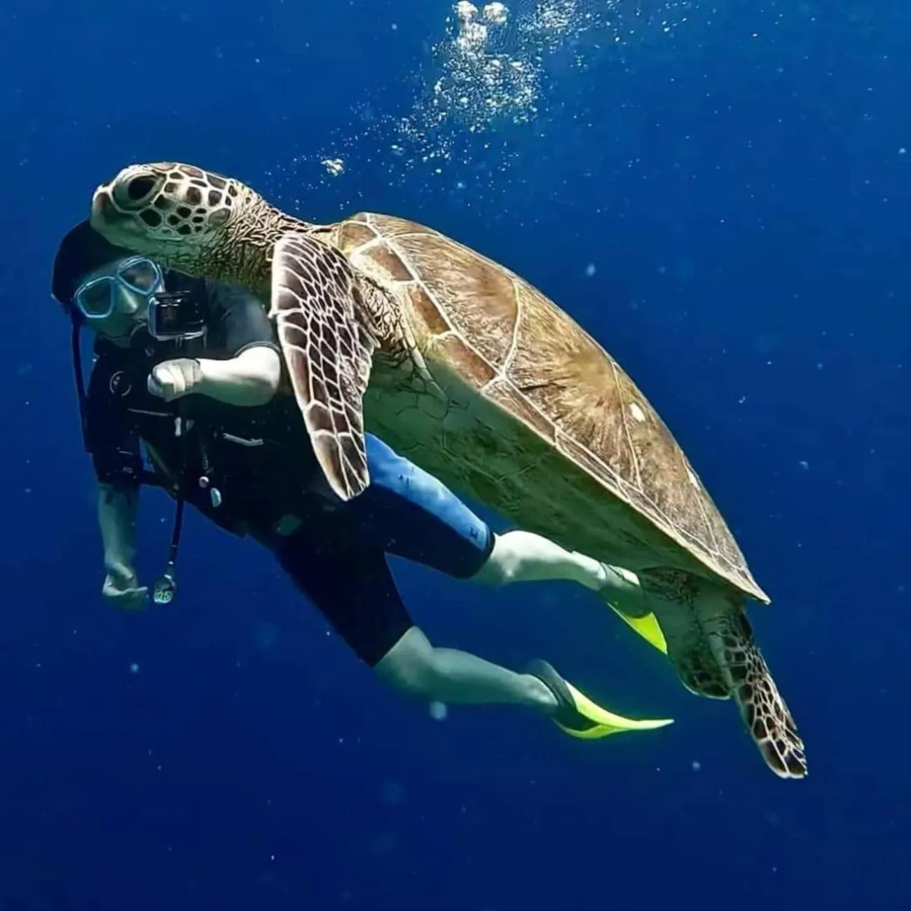 Natural landscape in Boxinn The Kontena Home