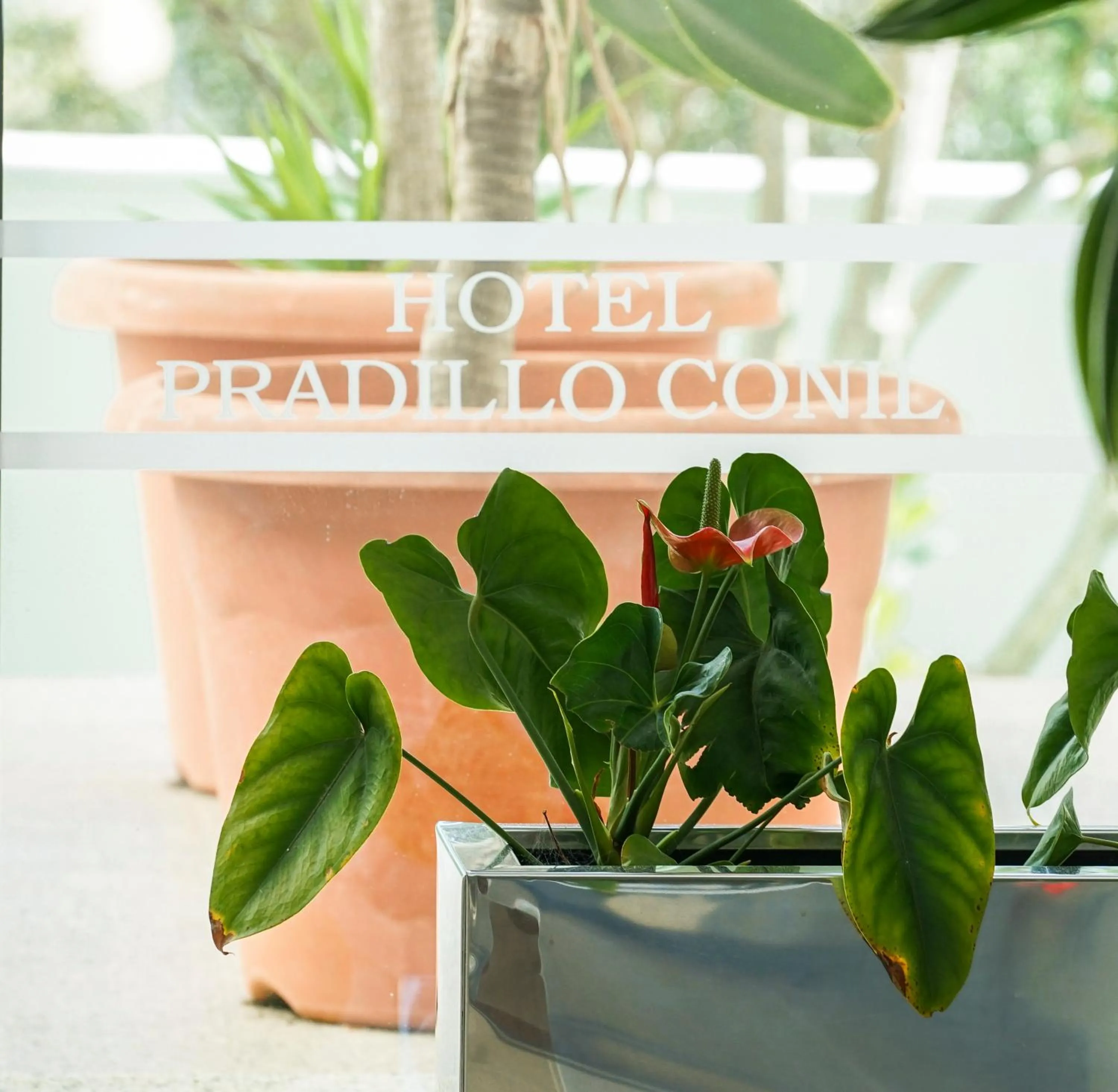 Area and facilities in Hotel Pradillo Conil