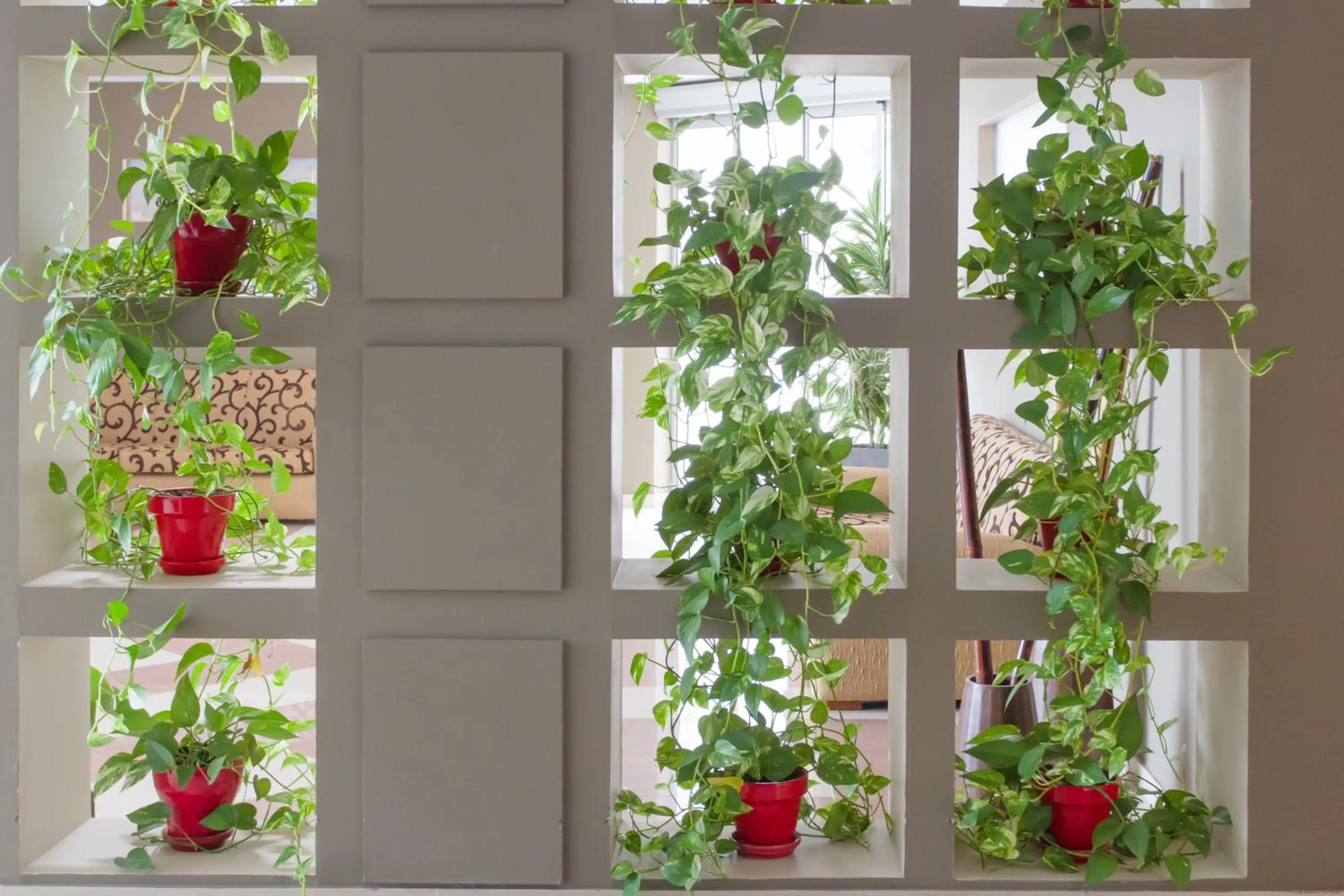 Area and facilities in Hotel Pradillo Conil