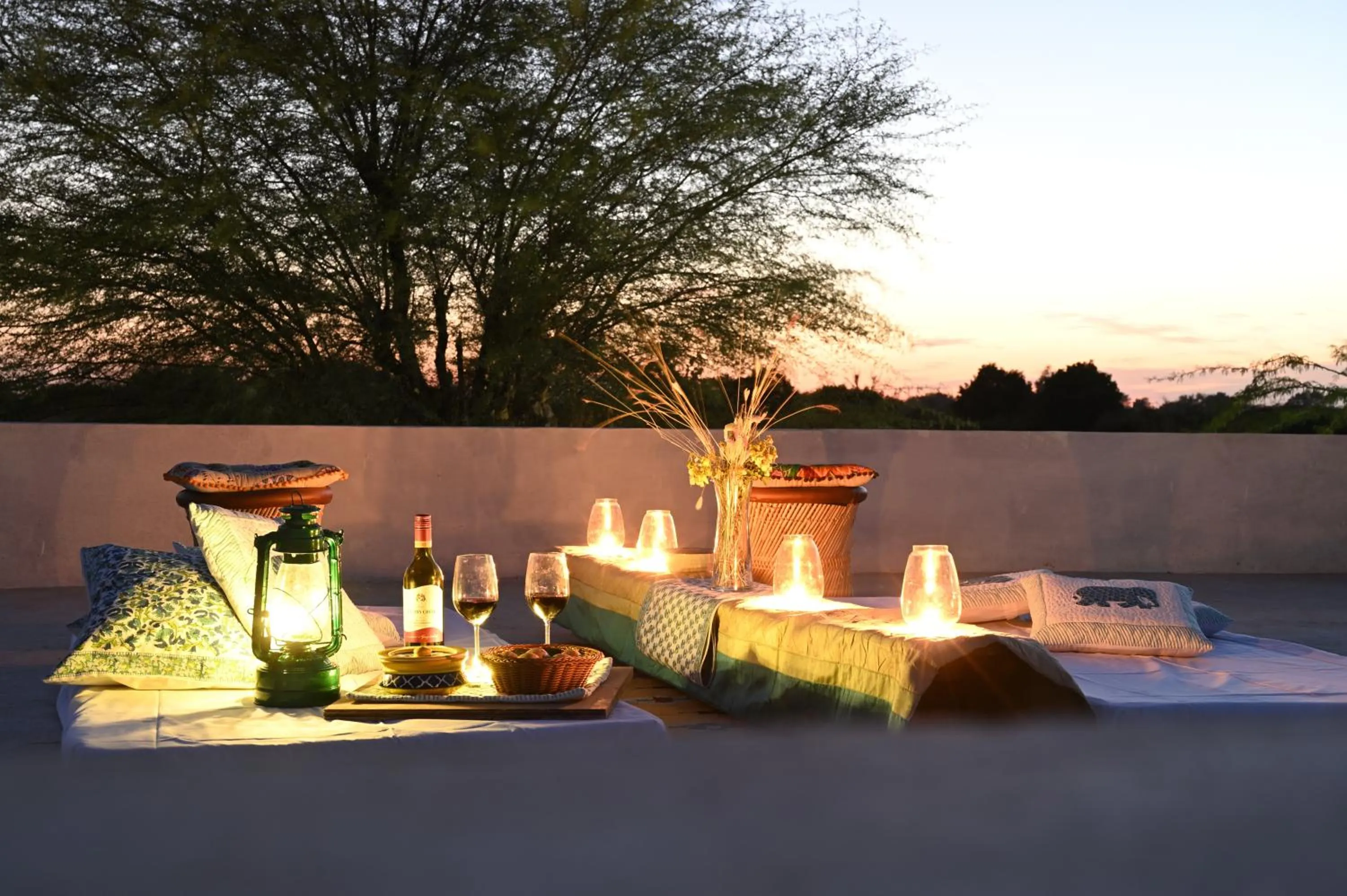 Night in Clarks Safari Jawai