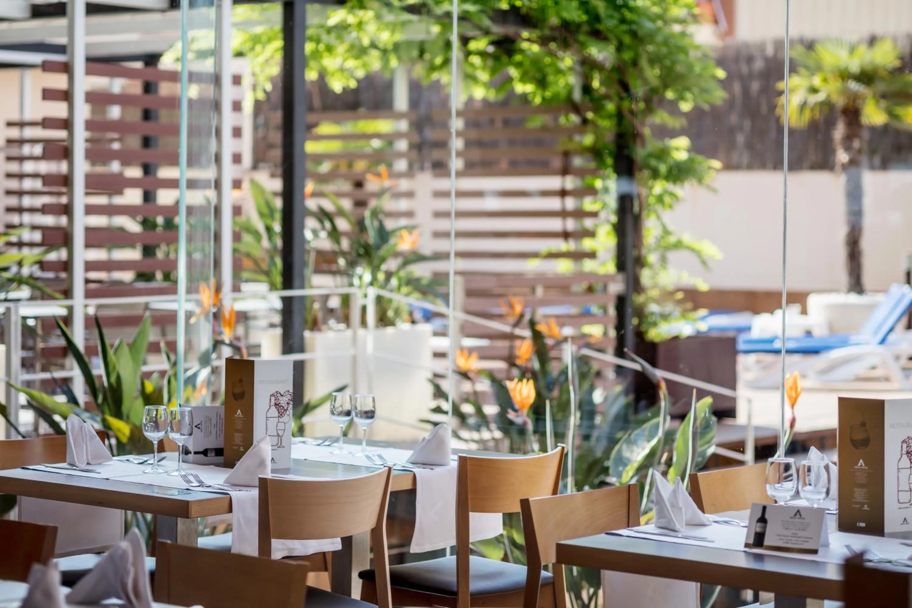 Restaurant/places to eat in AQUA Hotel Promenade & Spa 4Sup