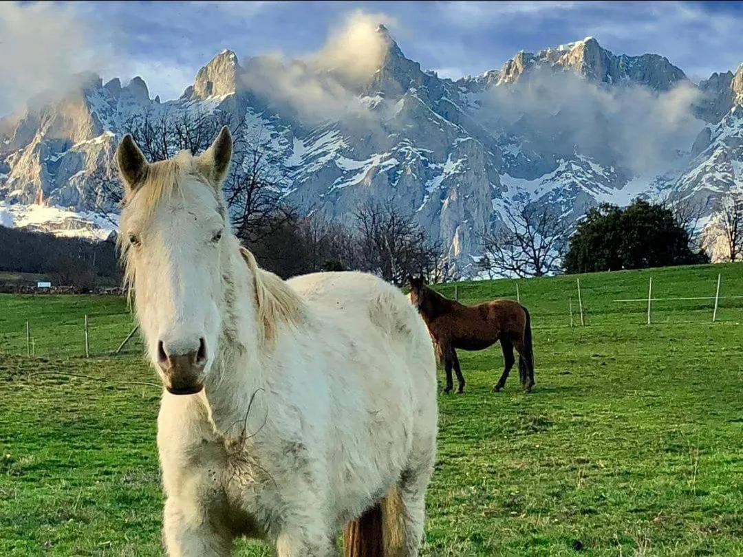 Hotel Mar Azul & Surf