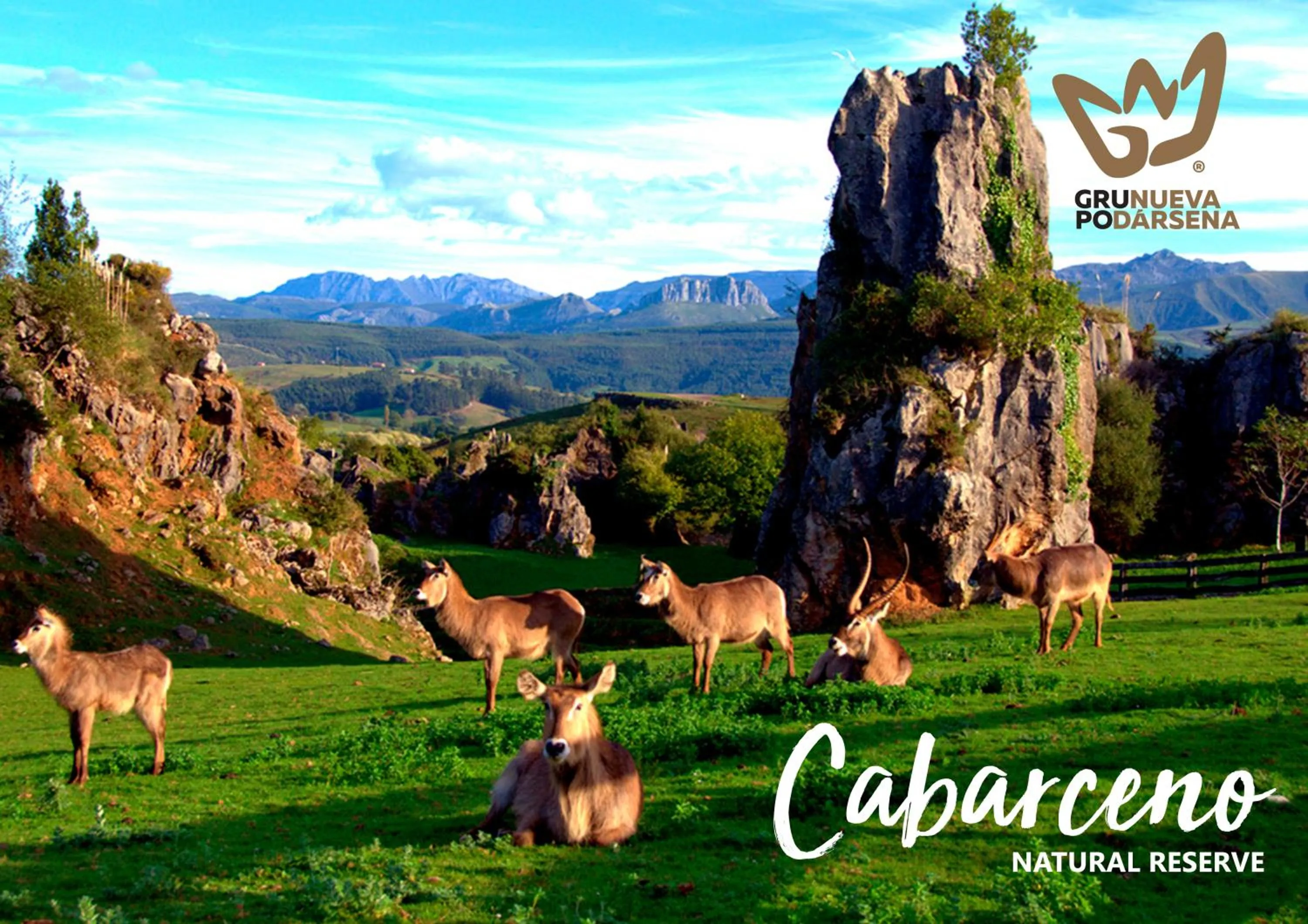 Hotel Mar Azul & Surf