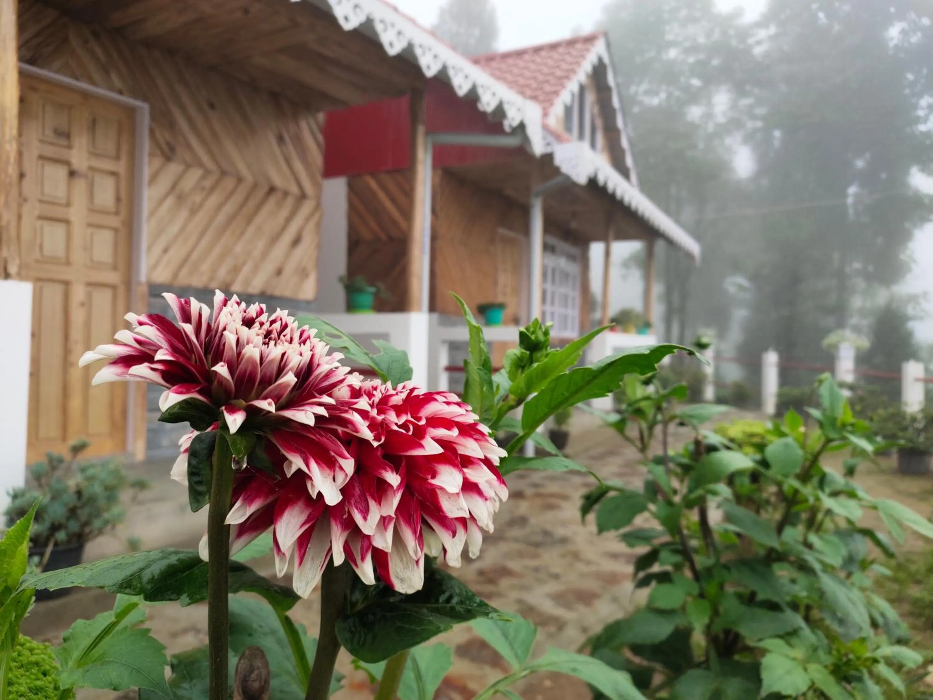 Property building in Boho Homestay, Rangbhang