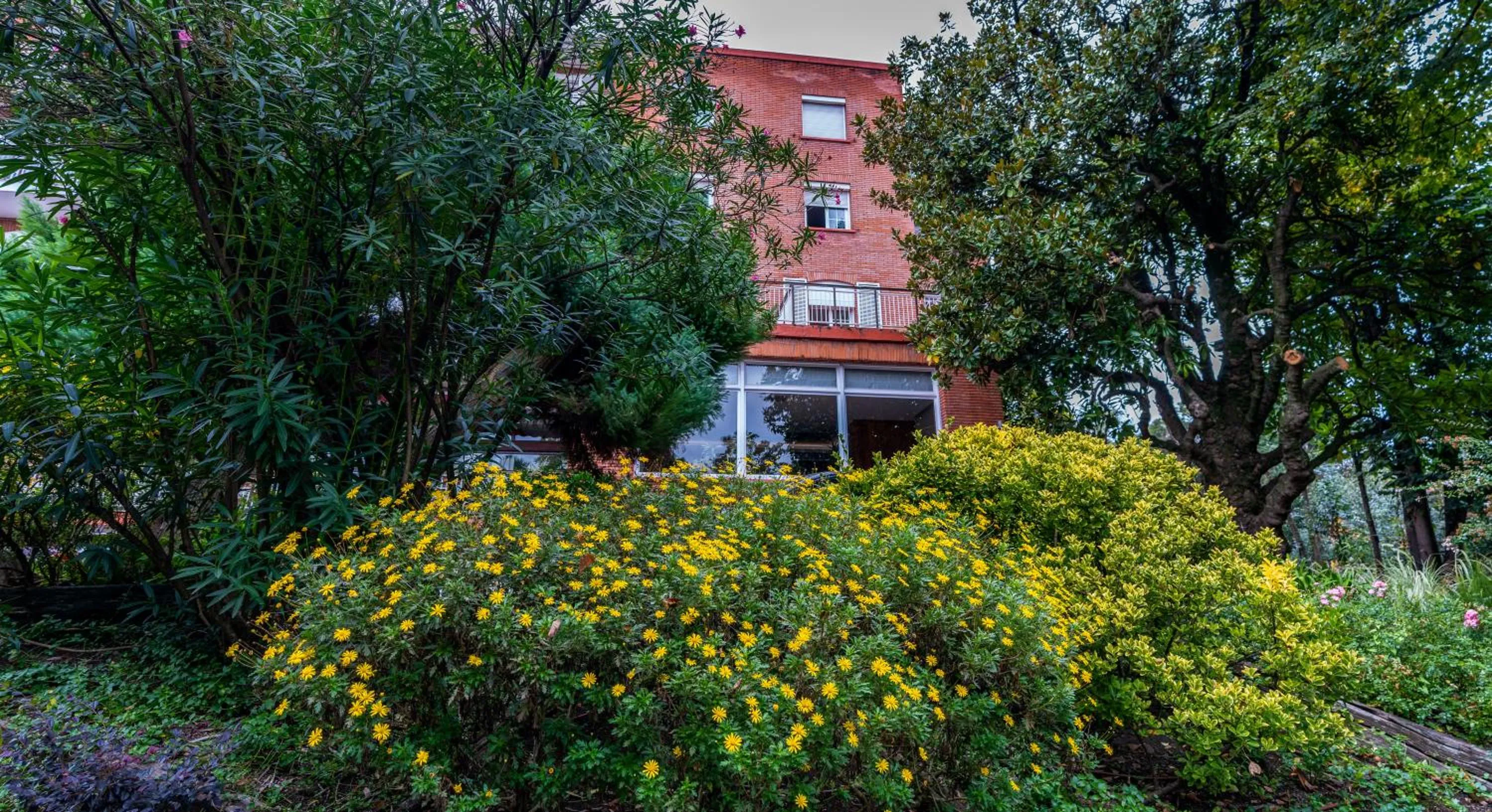 Garden in Hotel Alcazar Irun