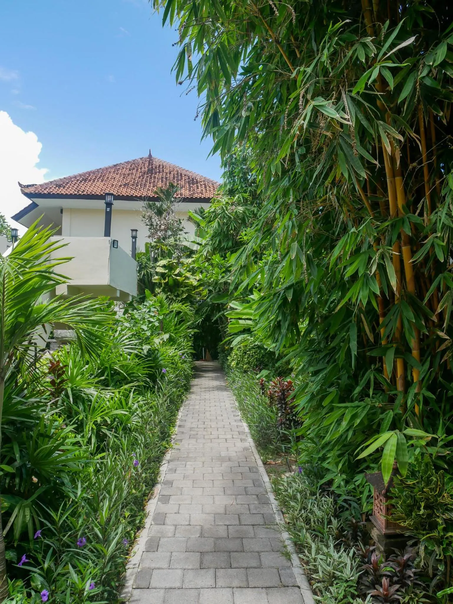 Natural landscape in Marine Bay Sanur