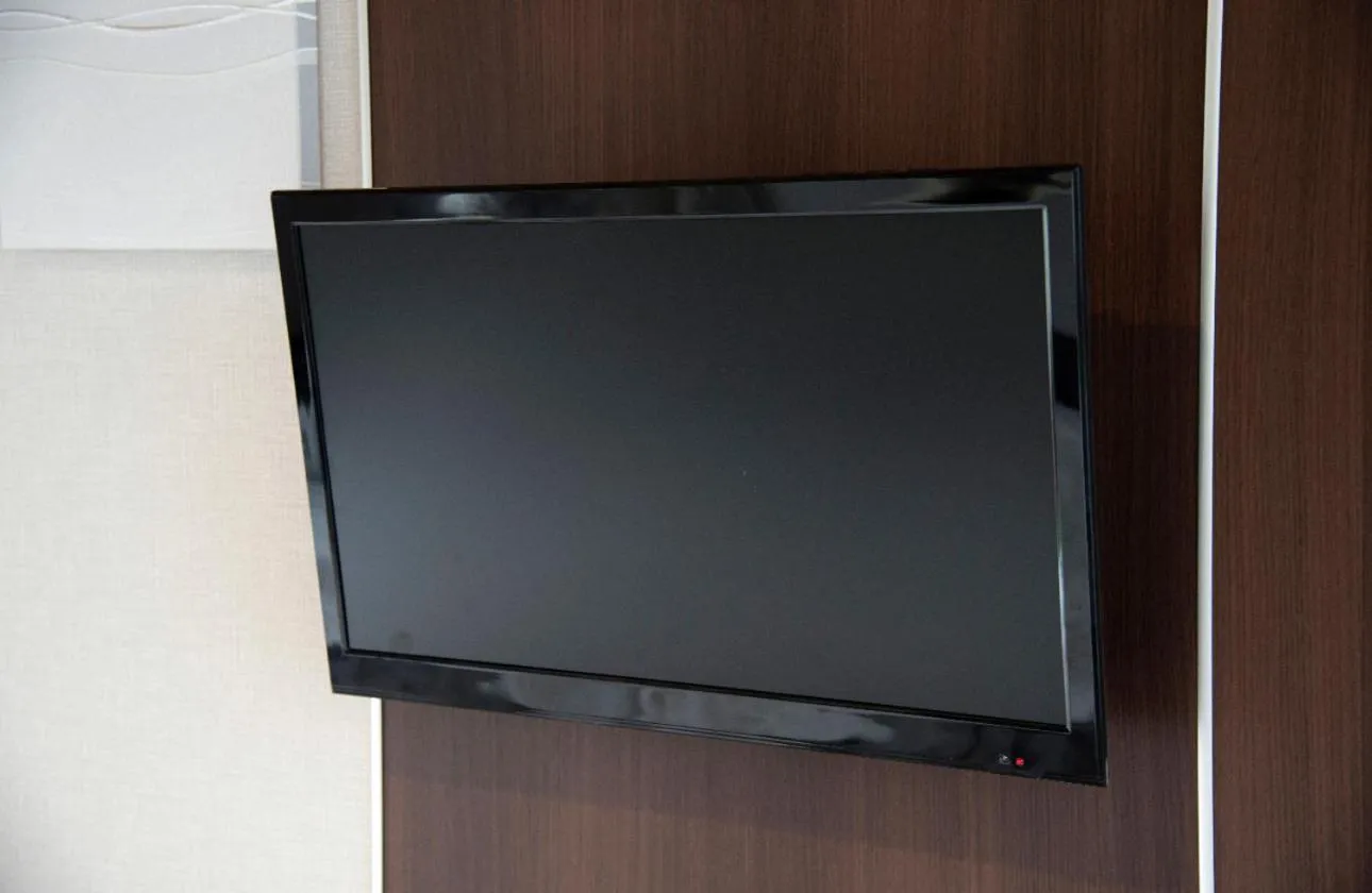 TV and multimedia in akihabara marutomo hotel