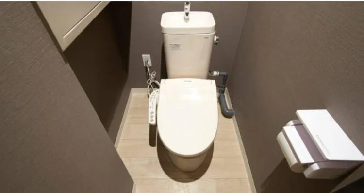 Toilet in akihabara marutomo hotel