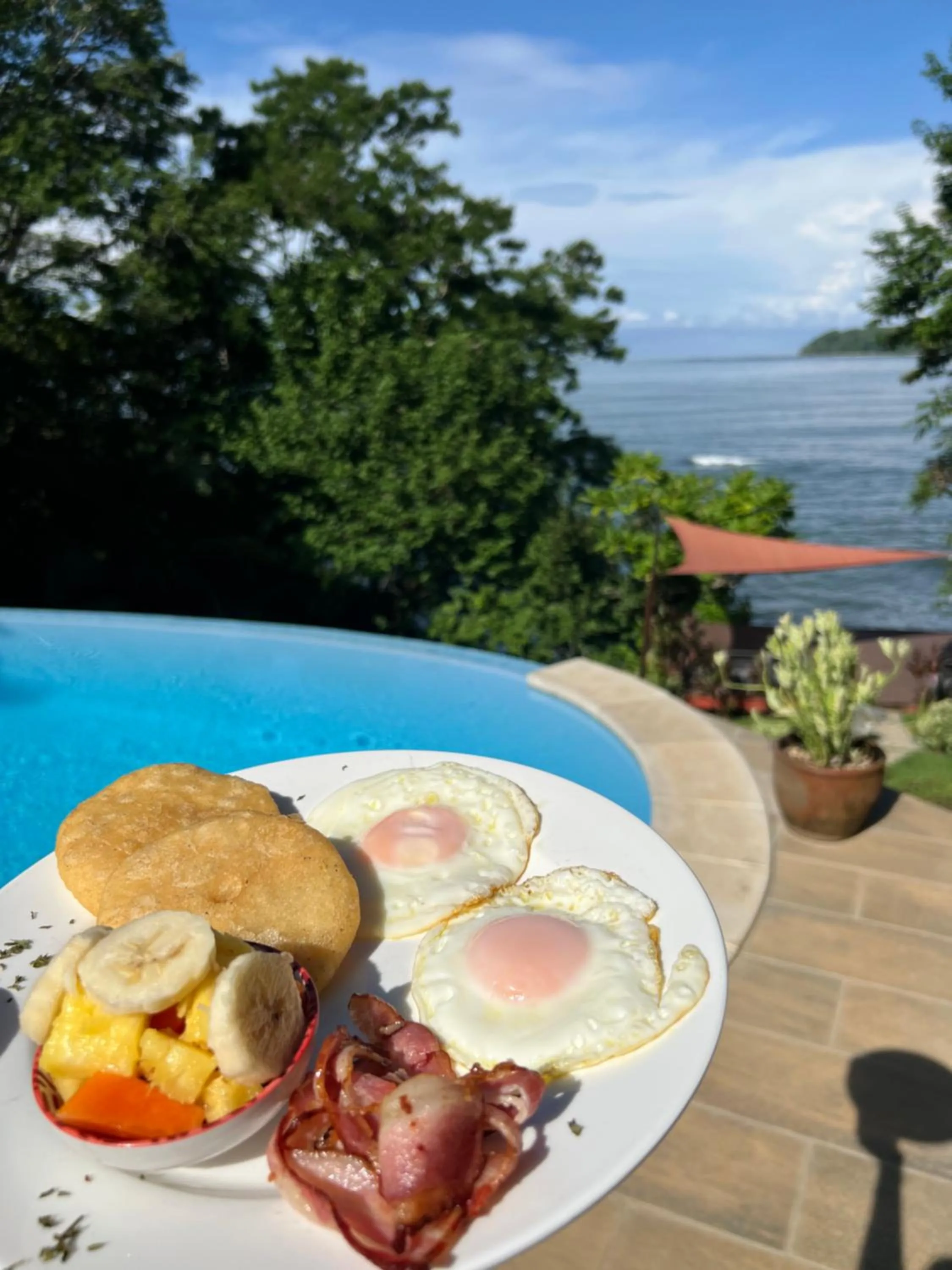 Restaurant/places to eat in Nativo