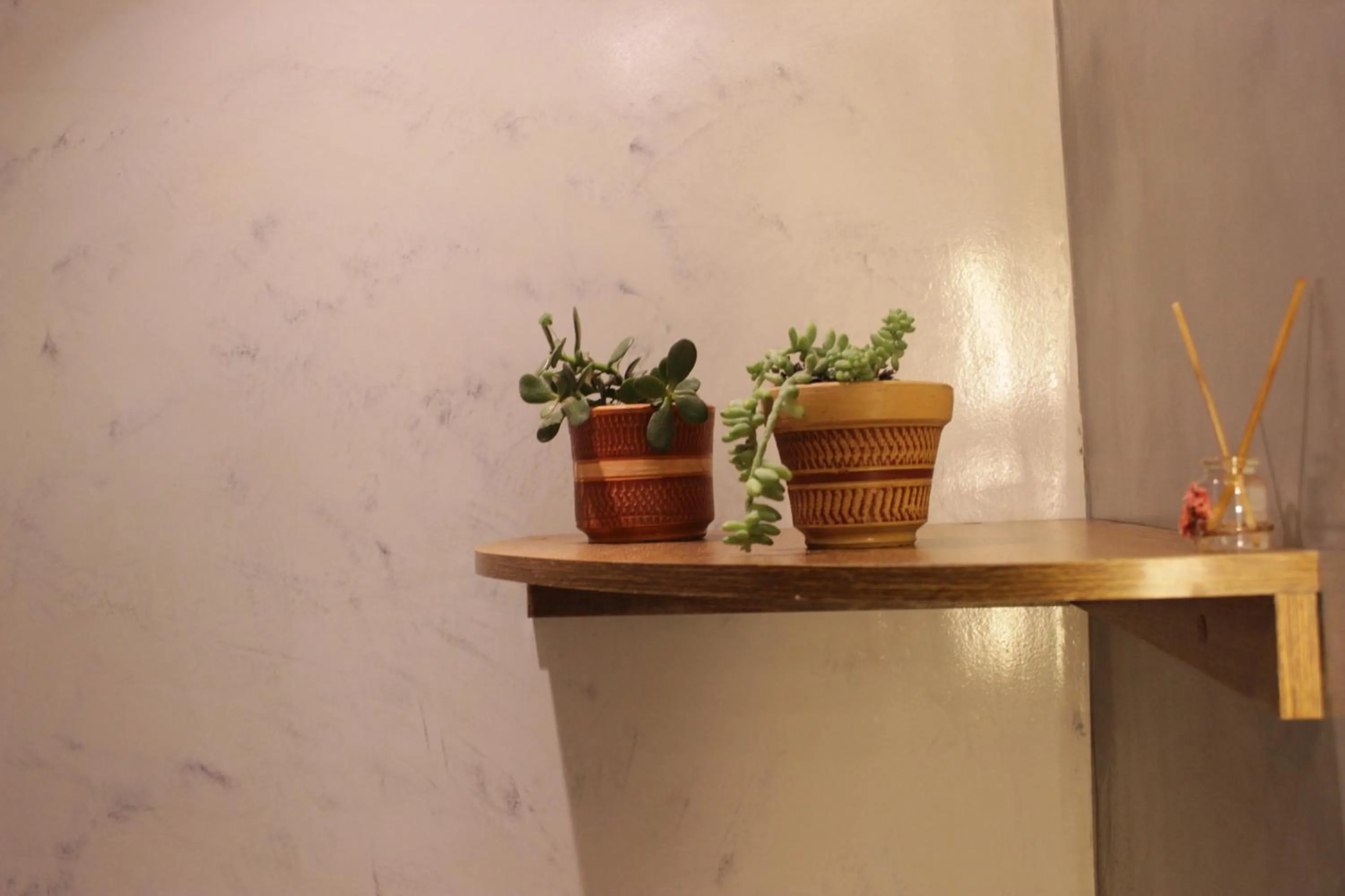 Decorative detail in Hotel Inti Quito