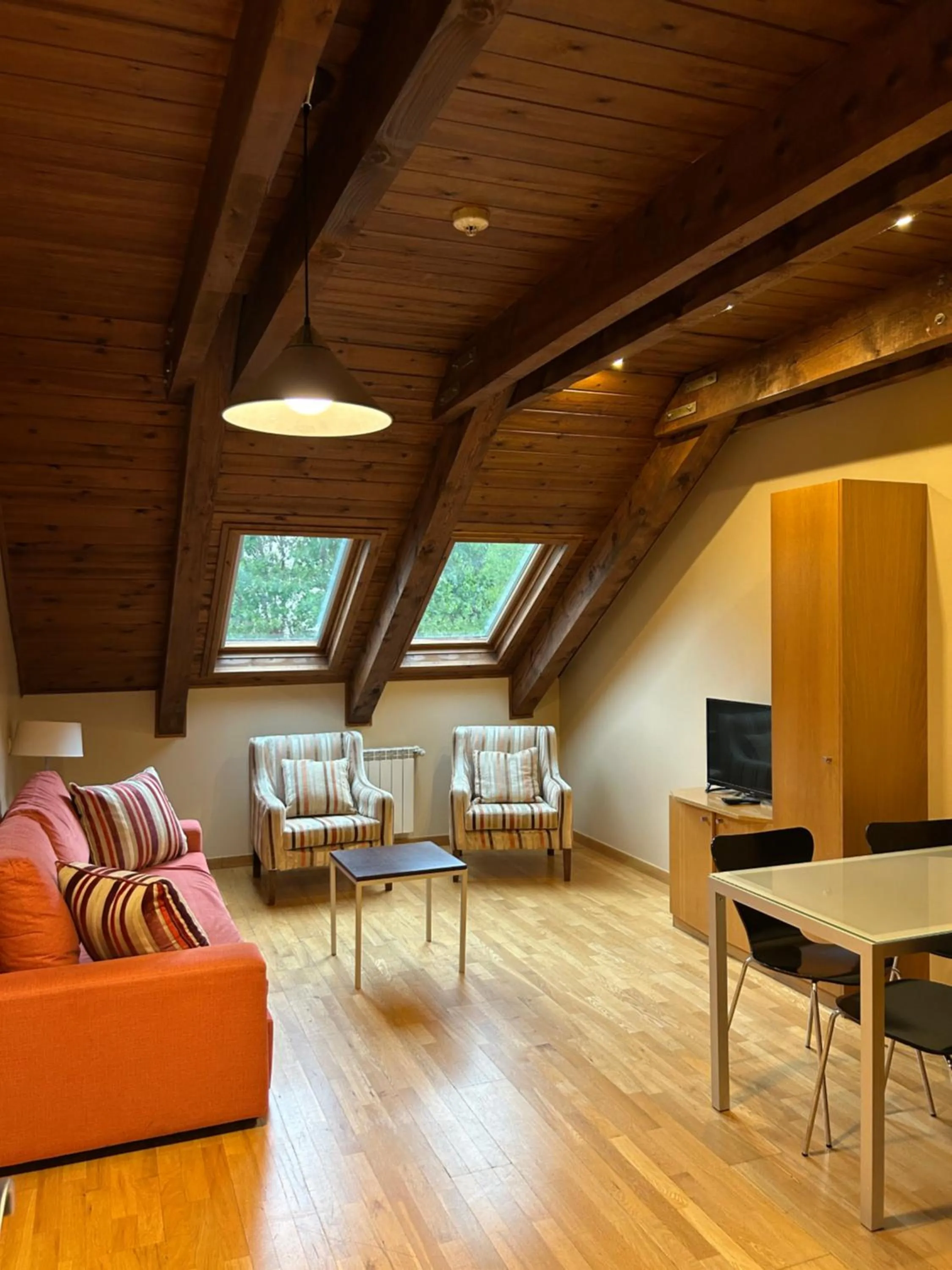 TV and multimedia in Aparthotel Siente Boí & SPA