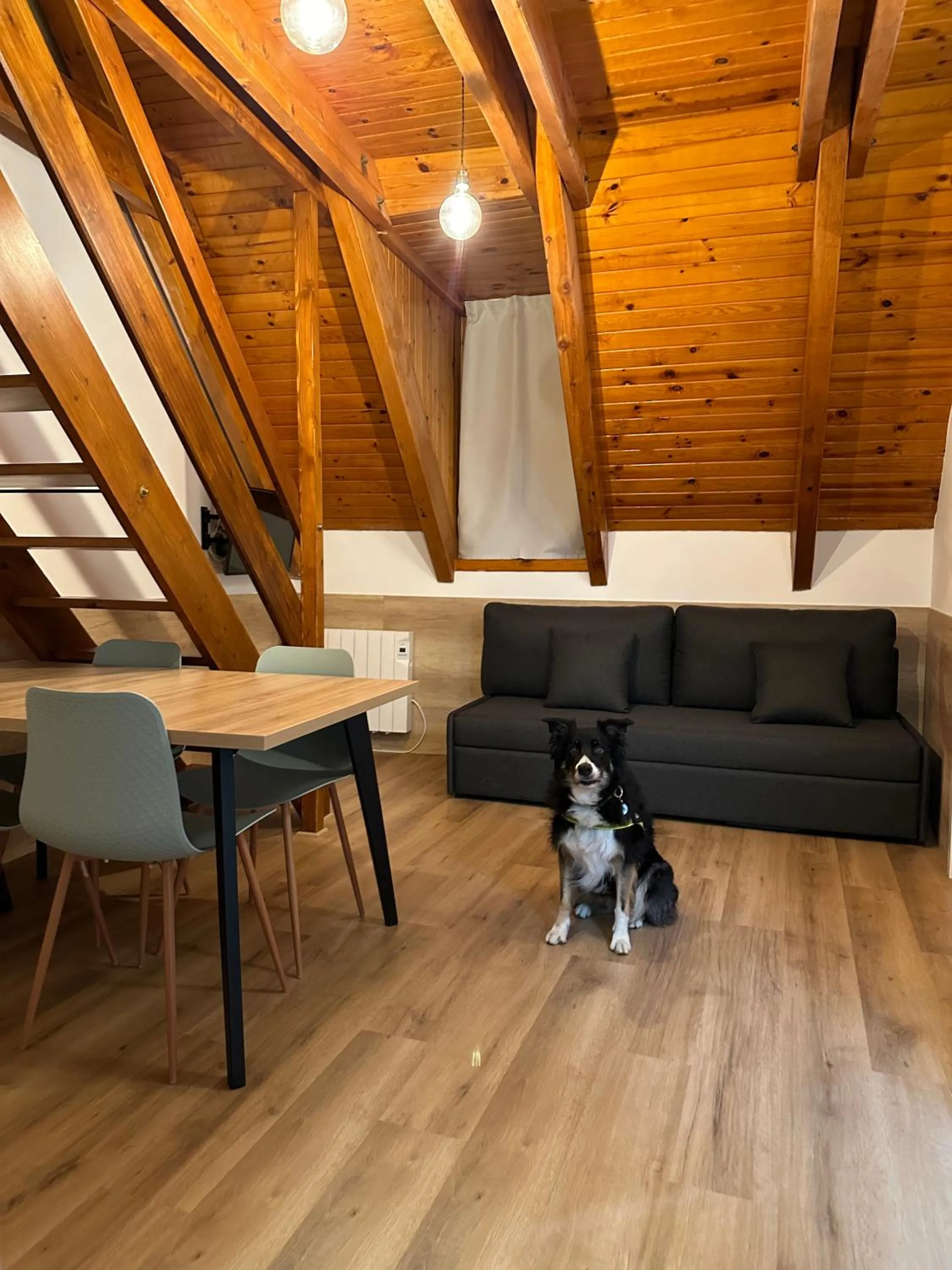 Apartamentos La Solana