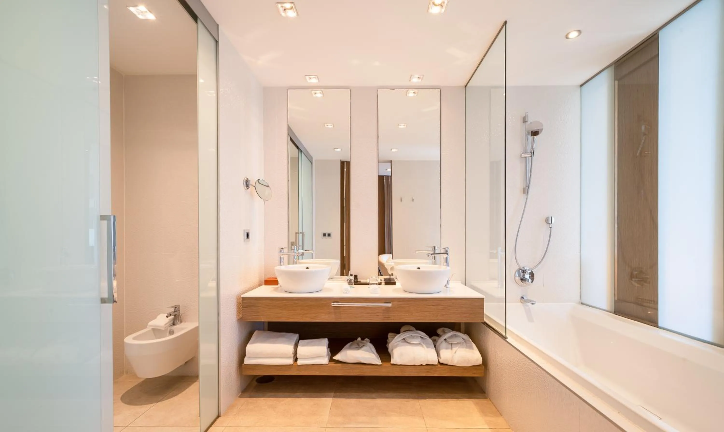 Toilet in Don Carlos Marbella