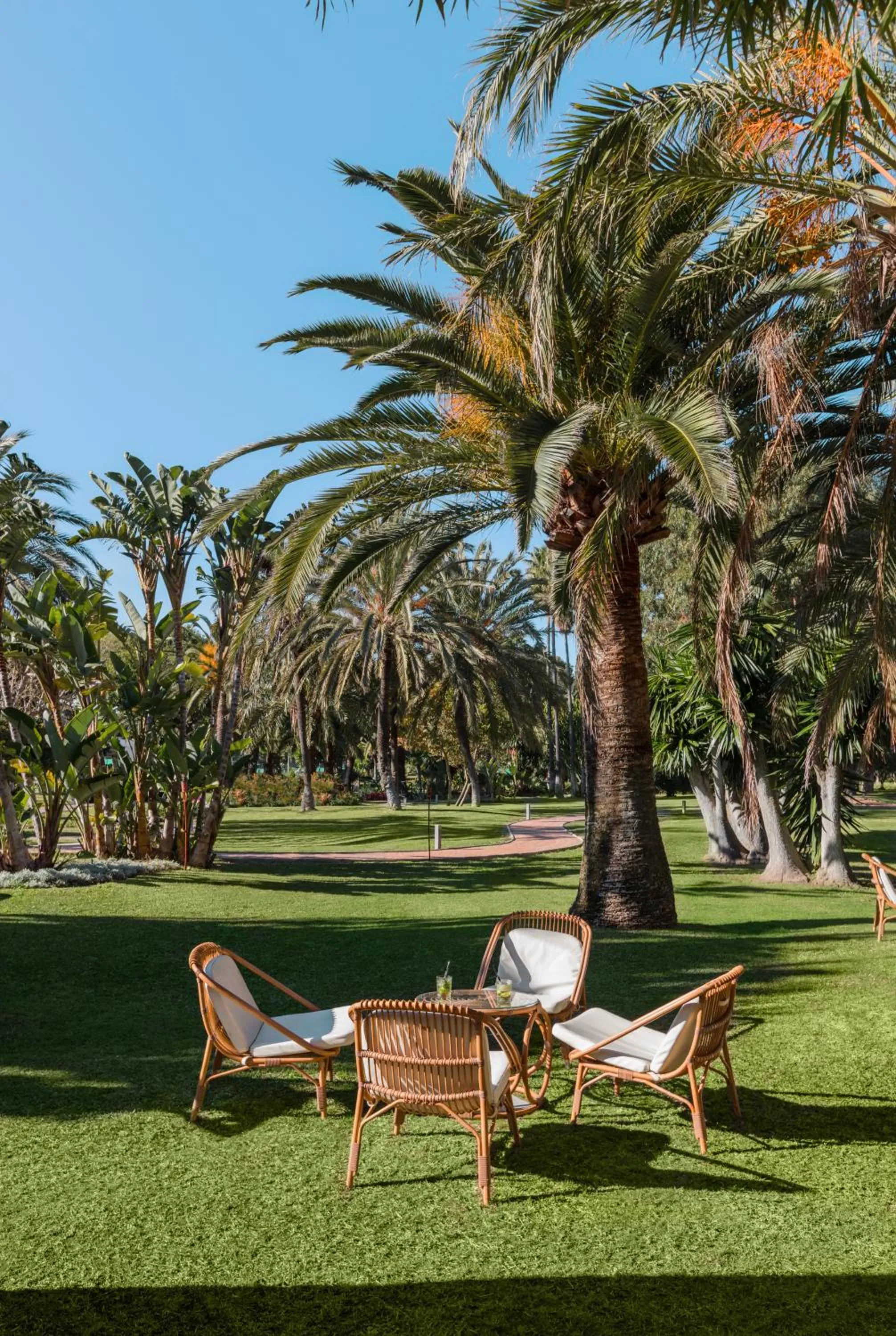 Garden in Don Carlos Marbella
