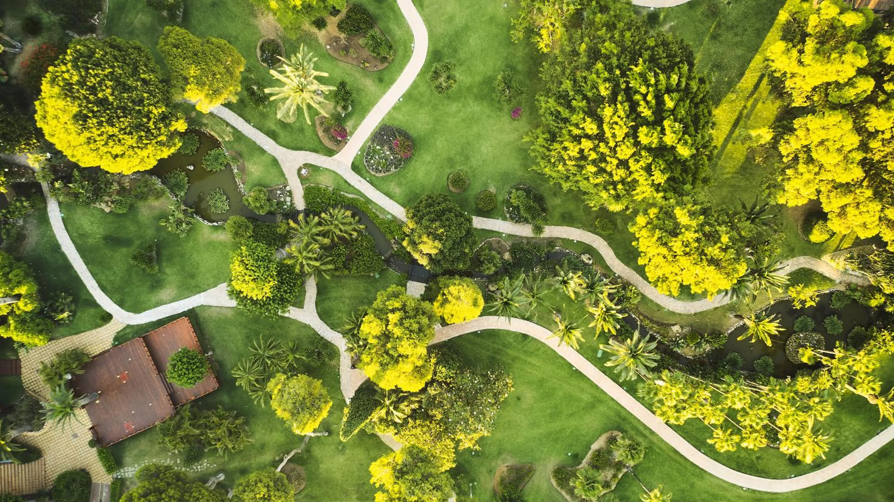 Garden view in Don Carlos Marbella