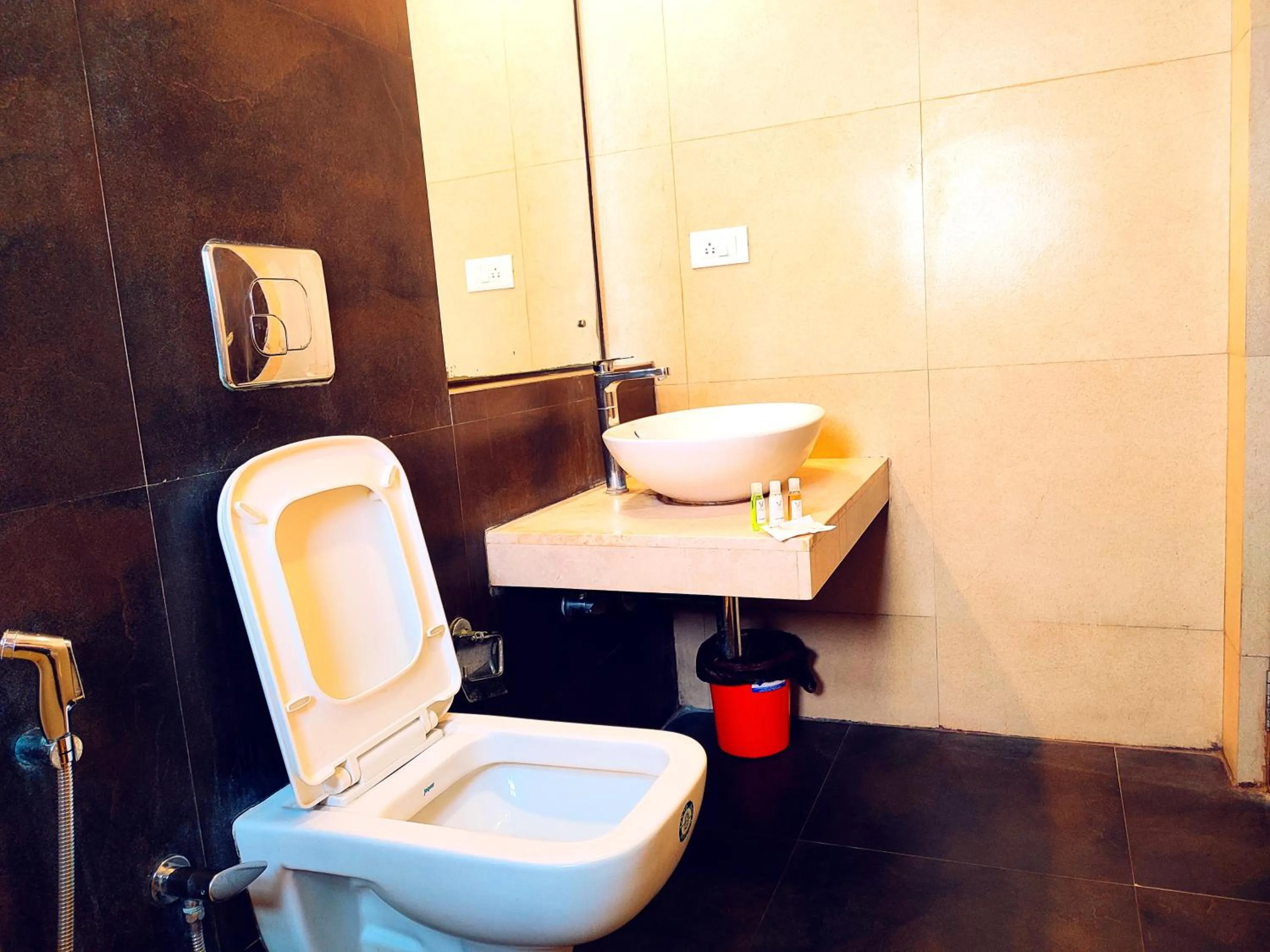 Toilet in Yuvraj Palace Inn