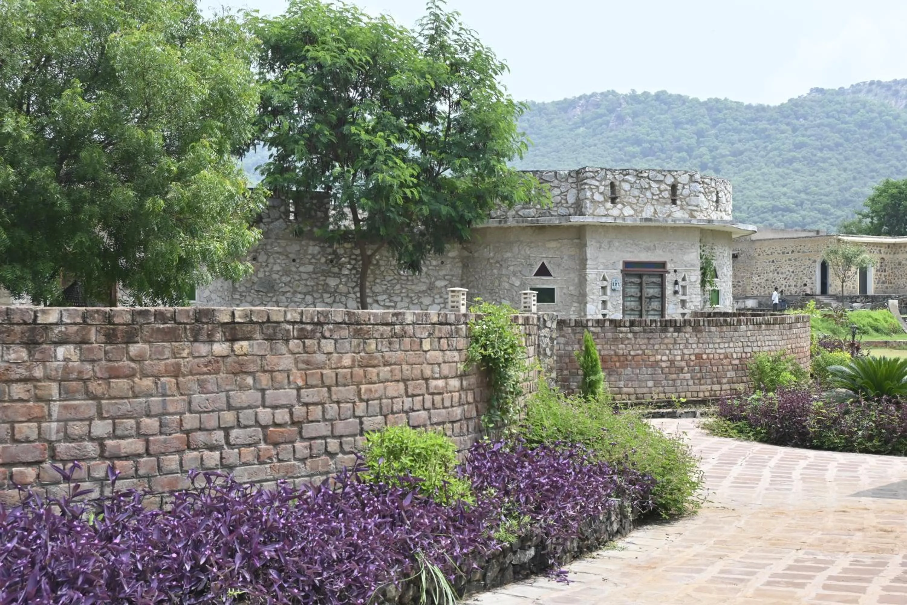Day in Sariska Kasba - A Village Resort