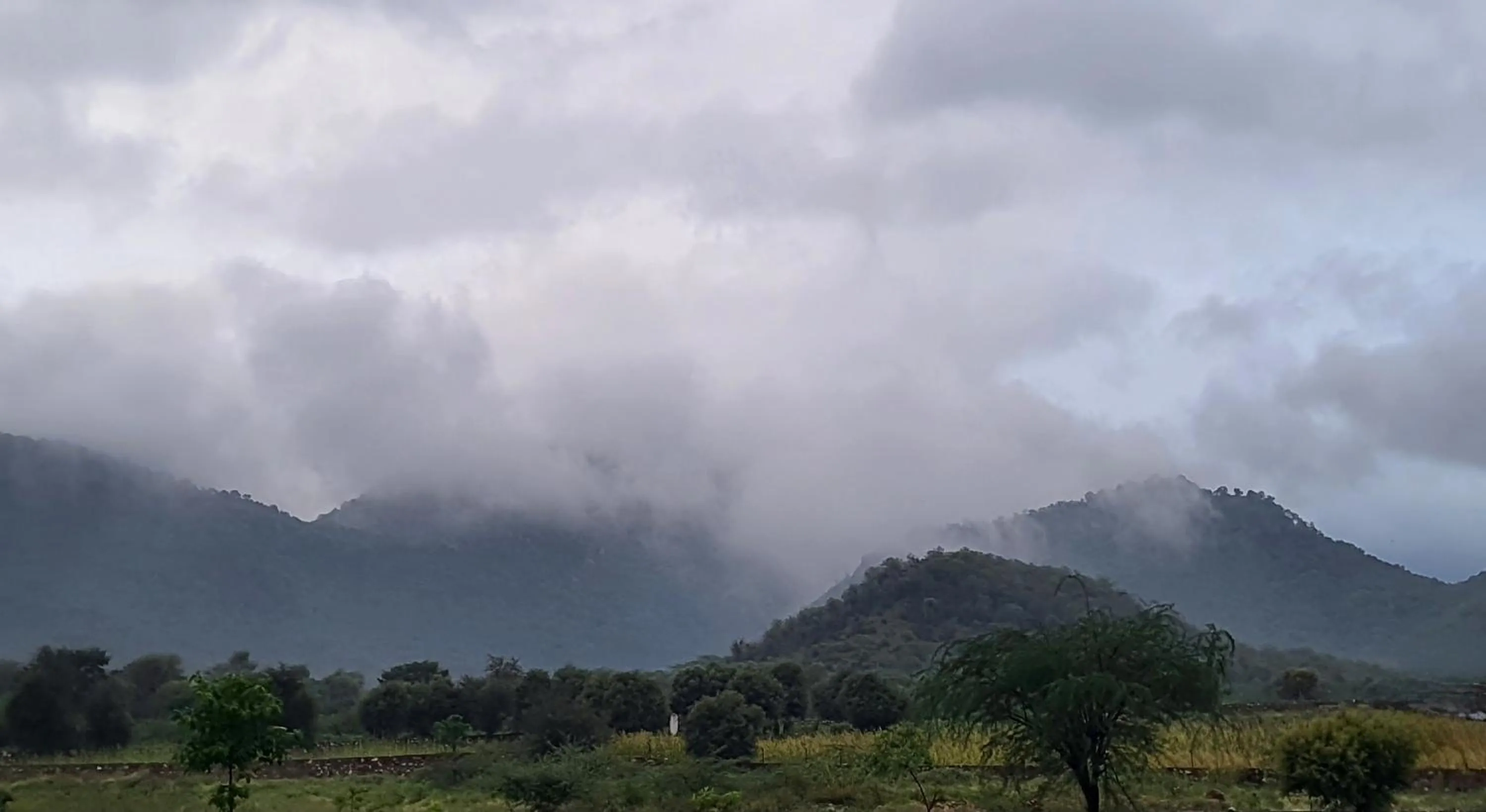 Natural landscape in Sariska Kasba - A Village Resort