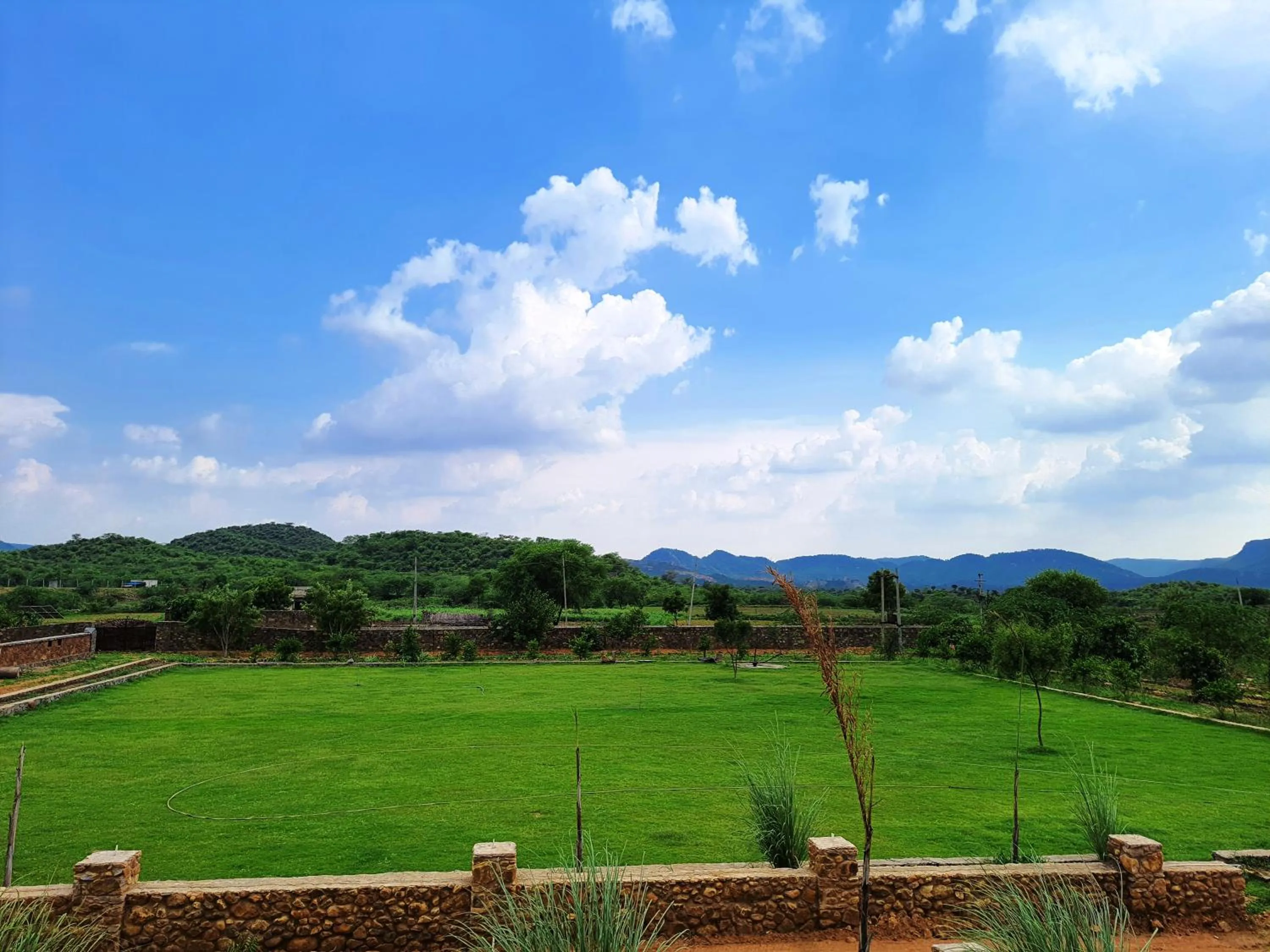 Natural landscape in Sariska Kasba - A Village Resort