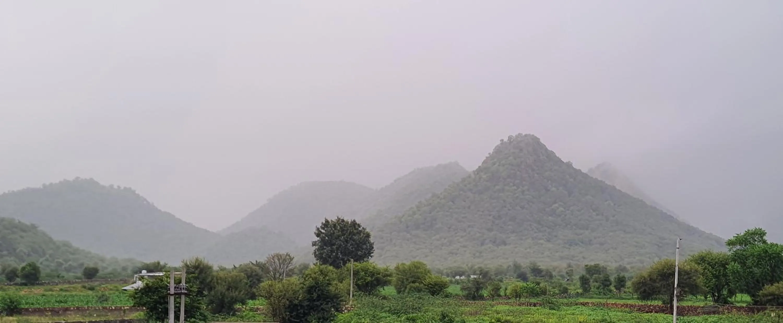 Natural landscape in Sariska Kasba - A Village Resort