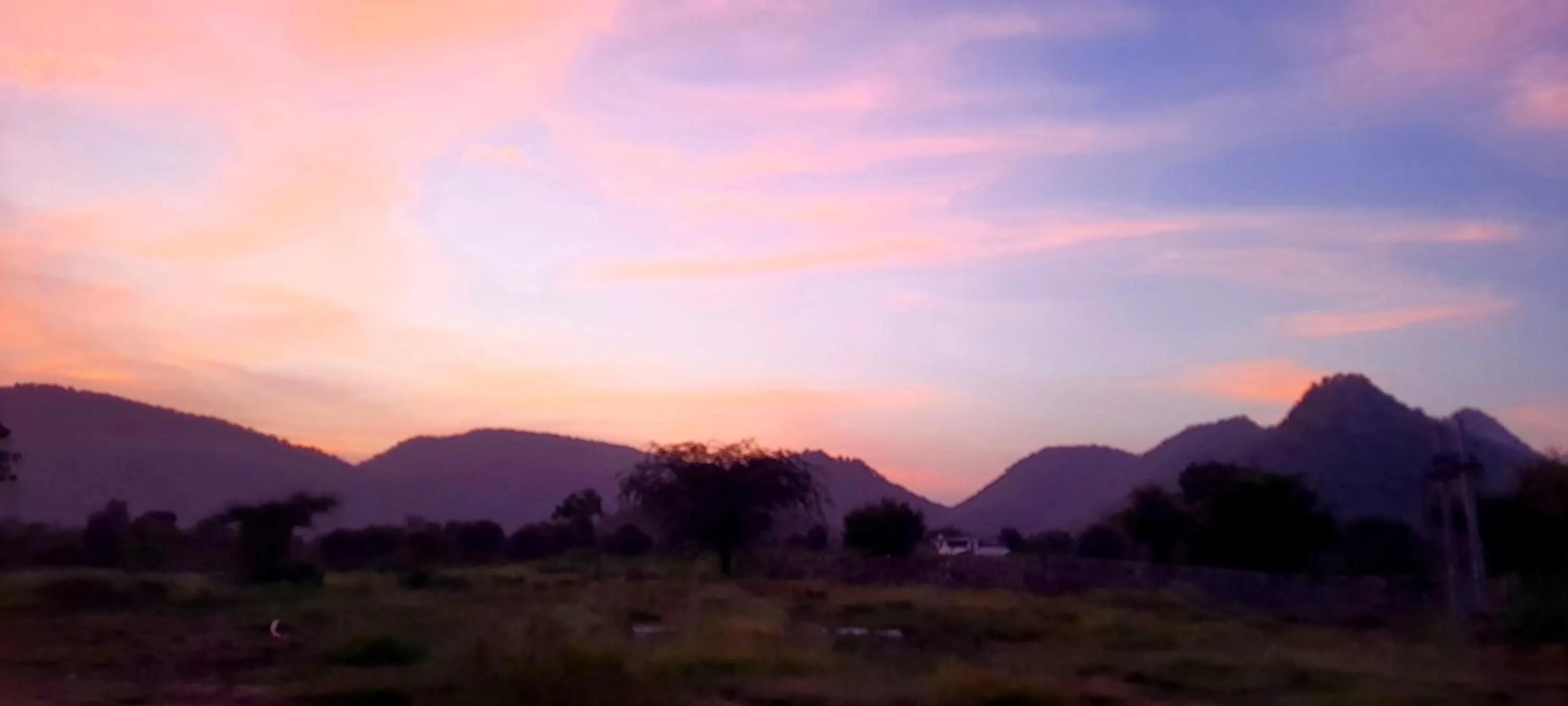 Natural landscape in Sariska Kasba - A Village Resort