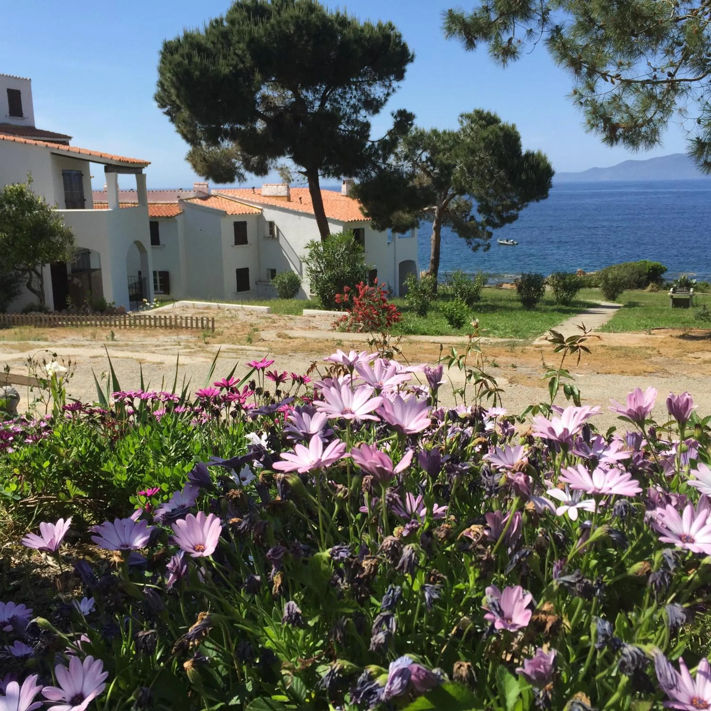 Résidence Punta paliagi