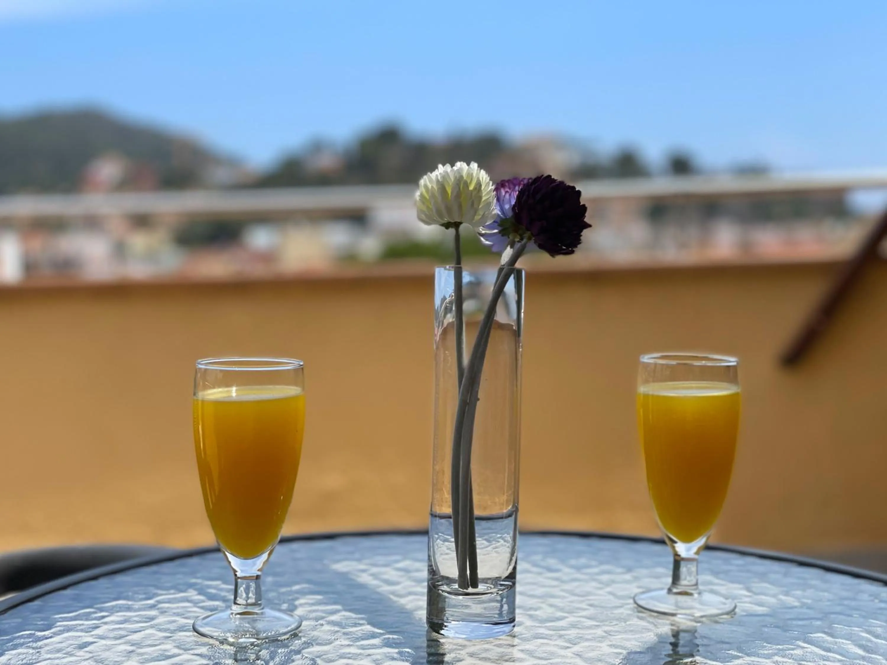 Balcony/Terrace in Hotel Turissa
