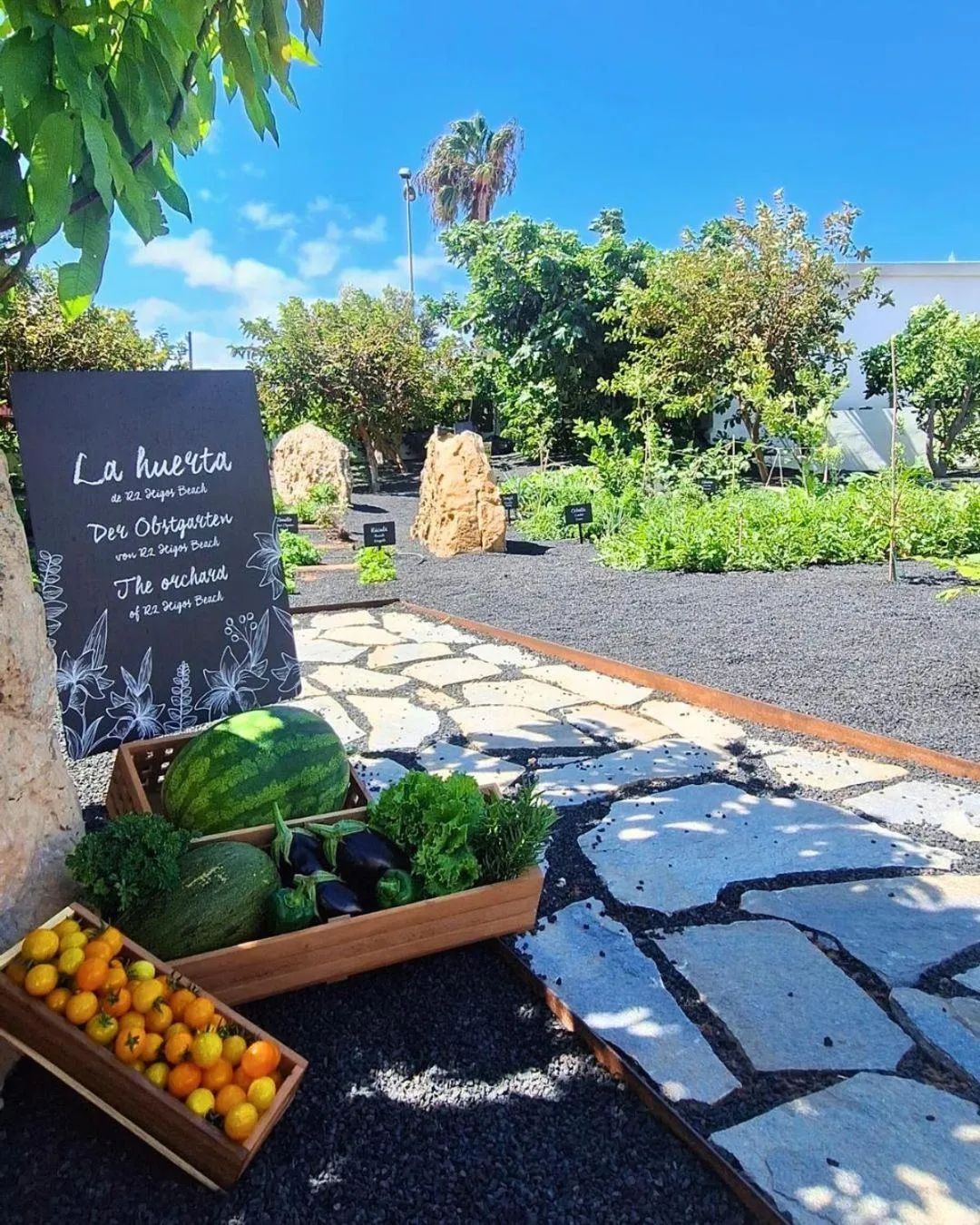 Garden in R2 HIGOS BEACH