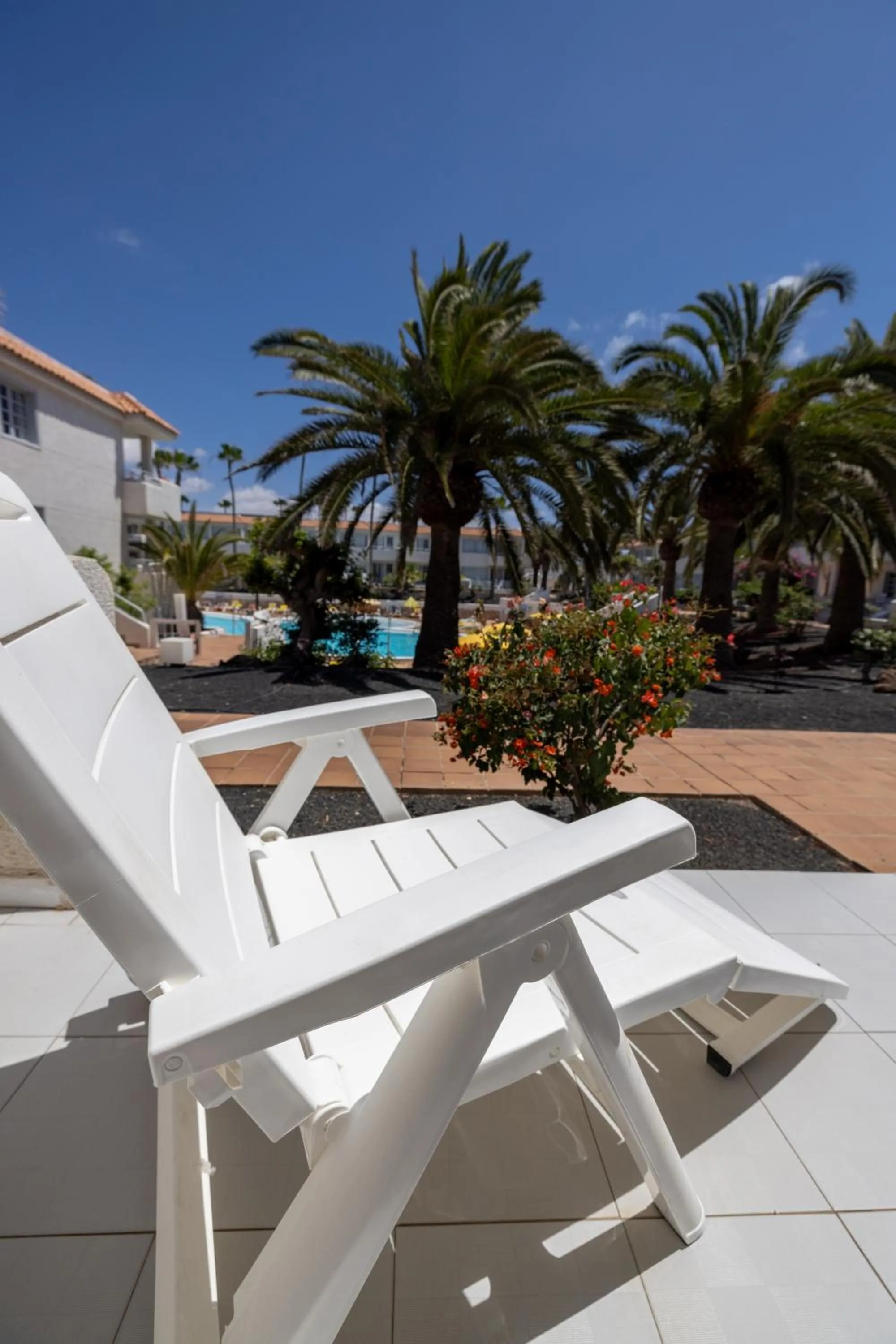 Garden view in Fuentepark Apartments