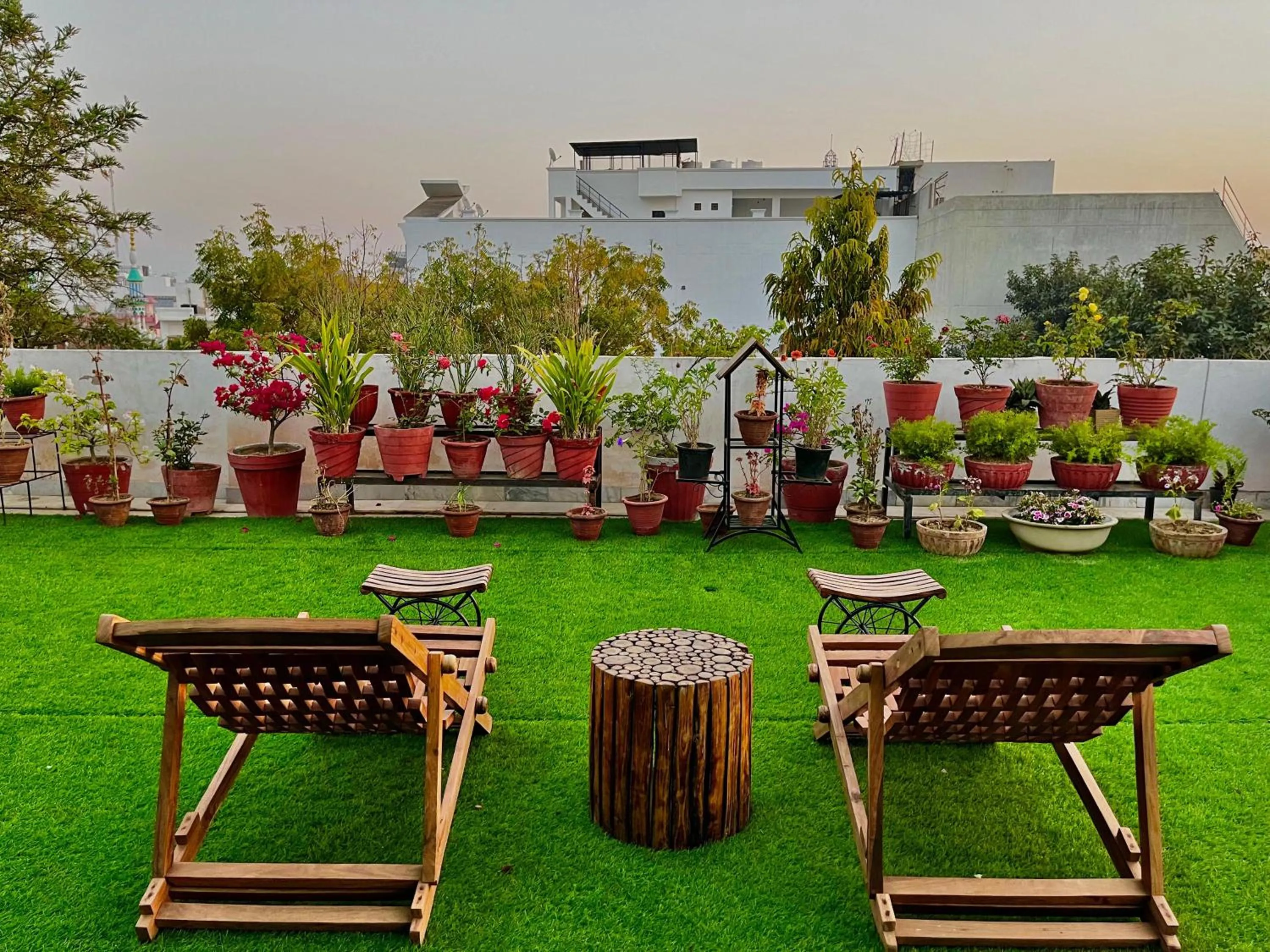 Garden in Alibaba’s Indiana Homestay