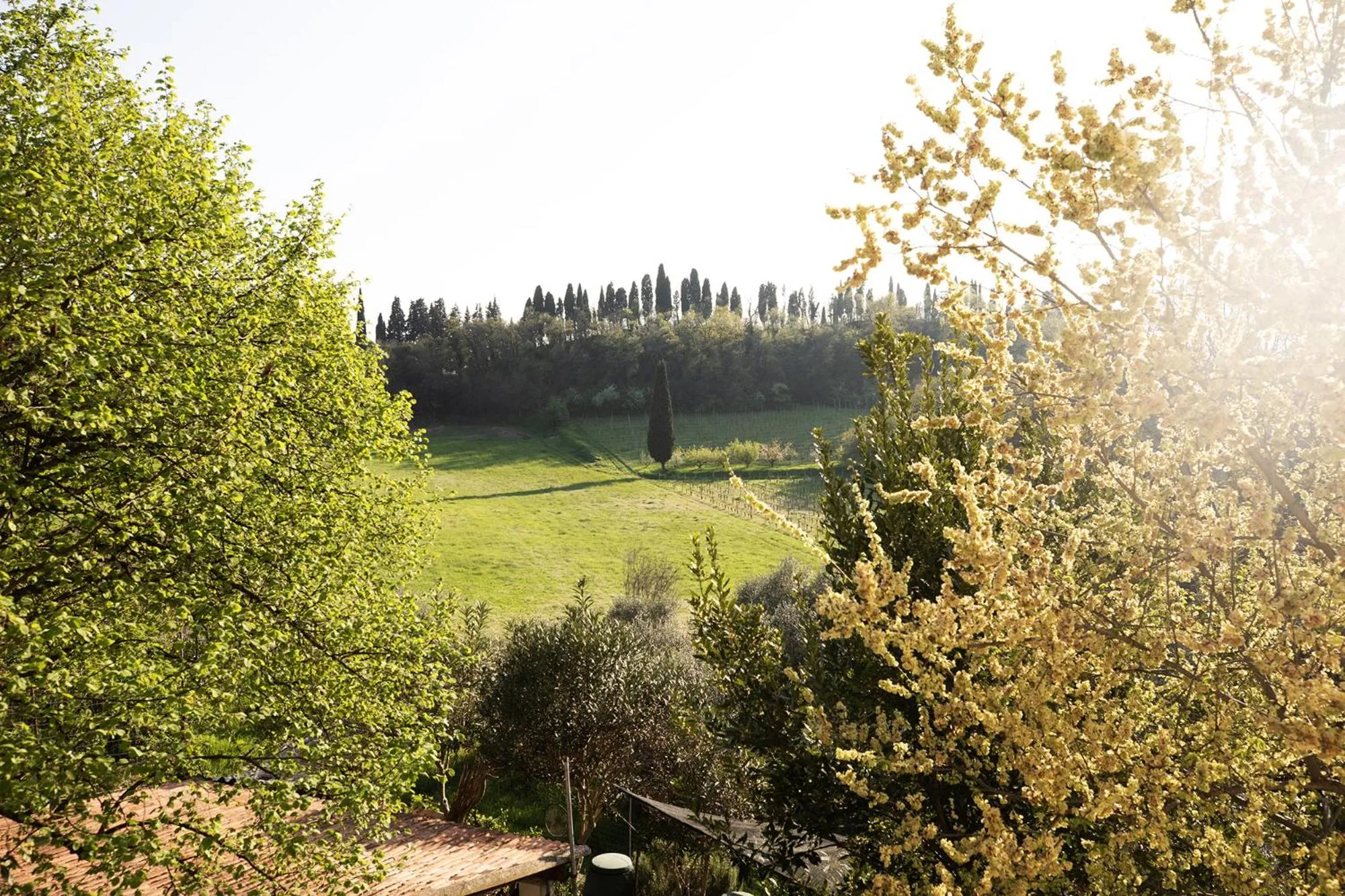 Patio in Relais La Rocca Solferino