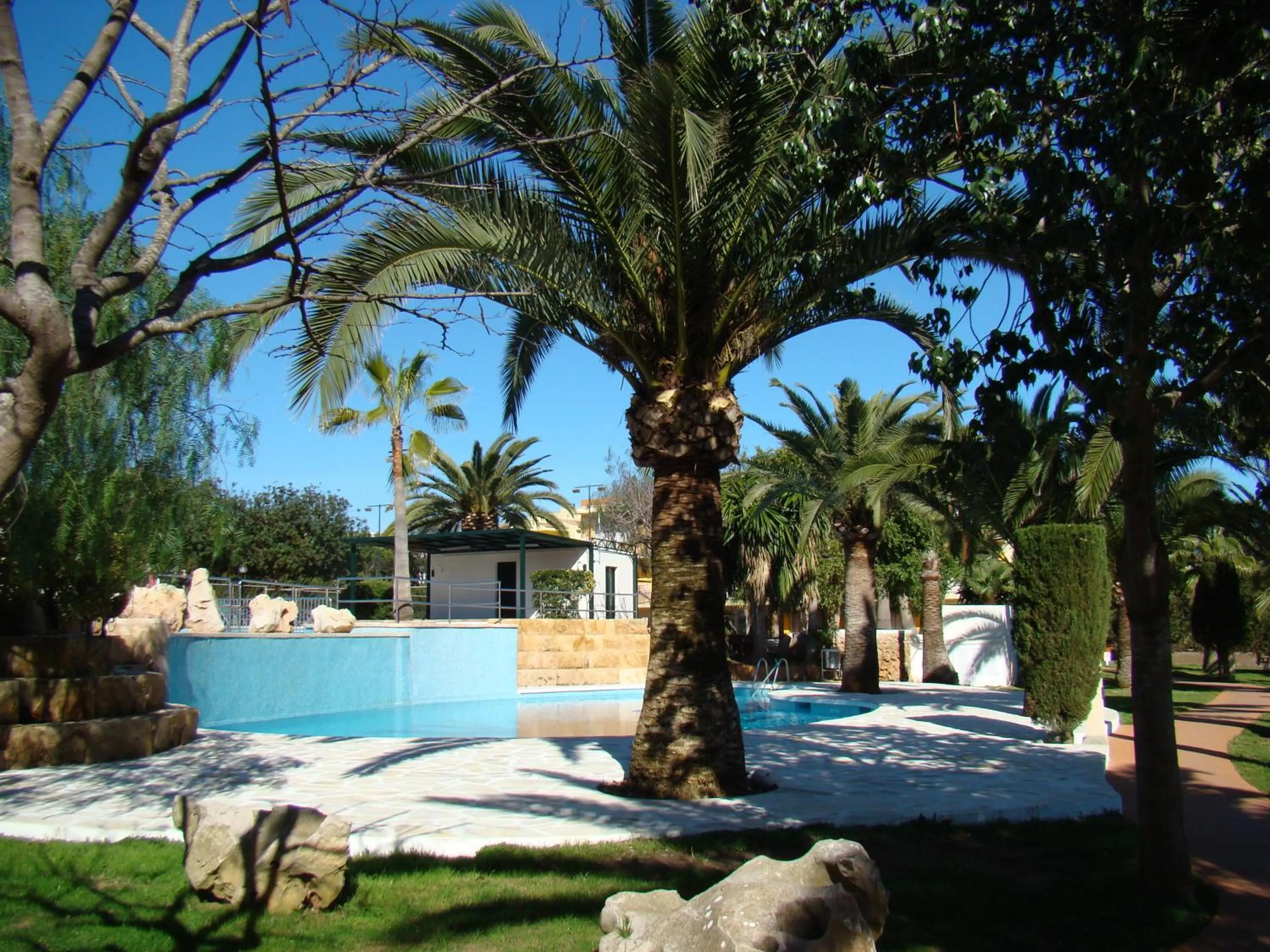 Swimming pool in Club Simó