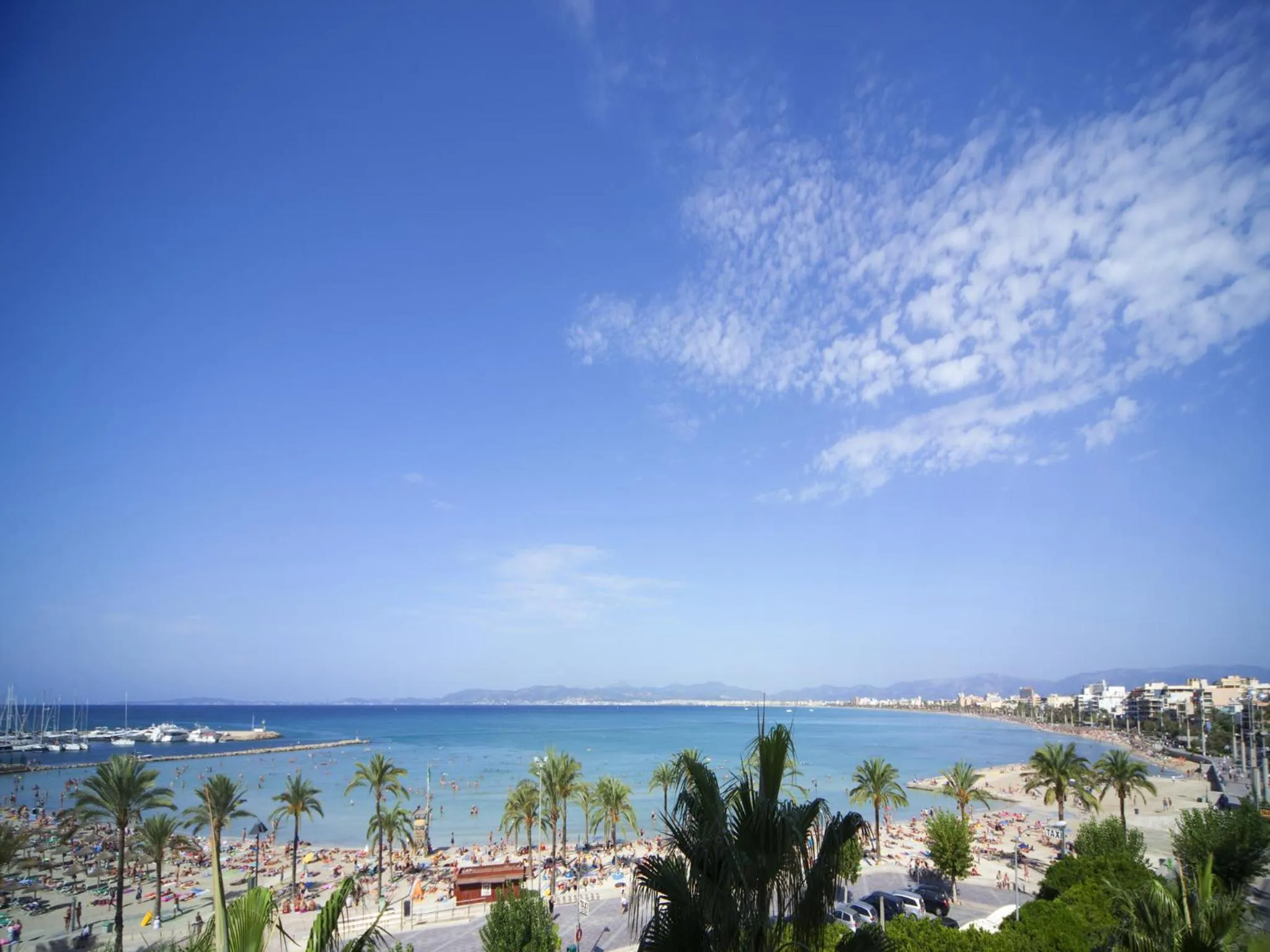 Area and facilities in whala!beach