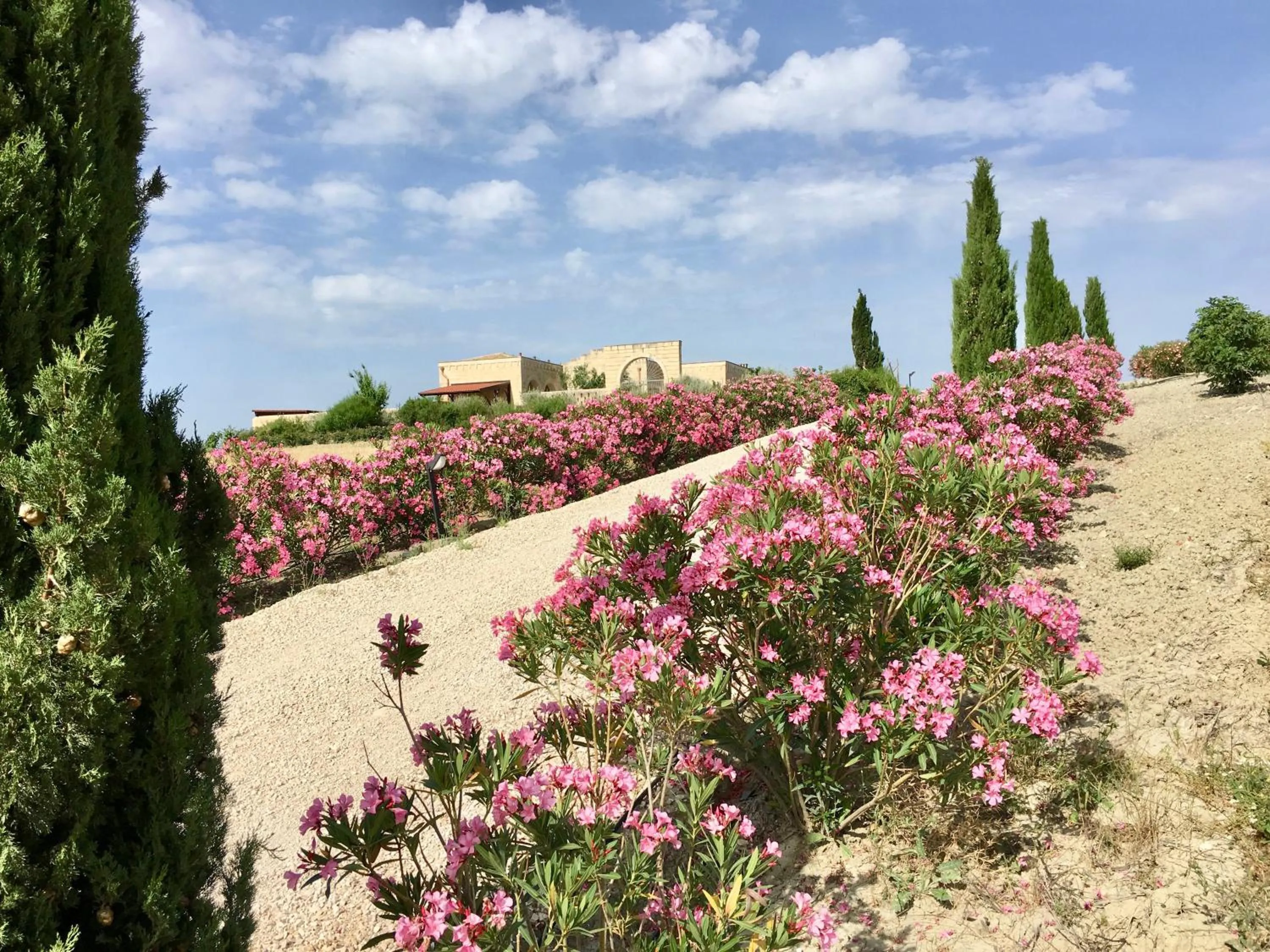 Garden in Villa Matera