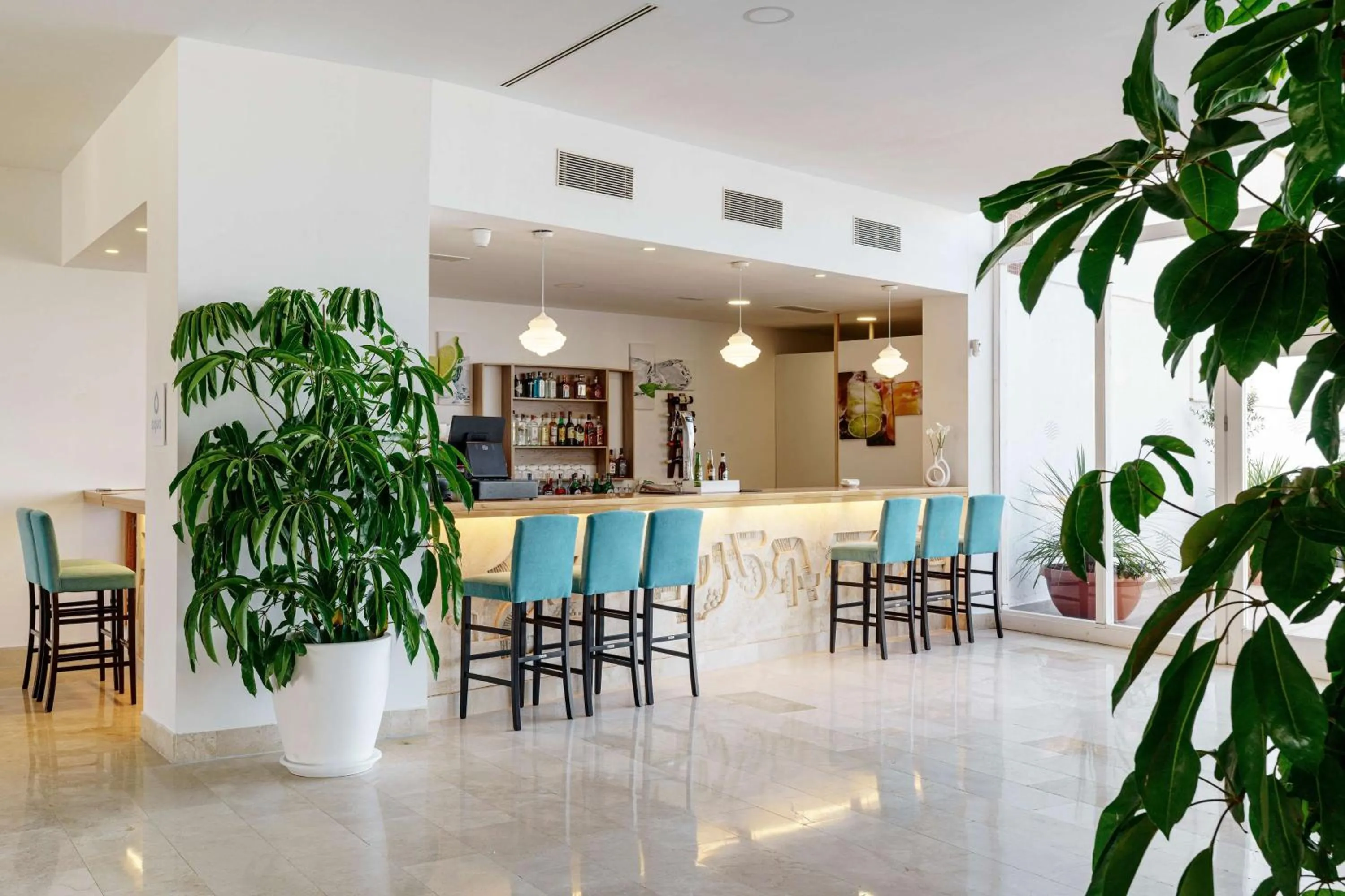 Lounge or bar in AluaSun Doblemar