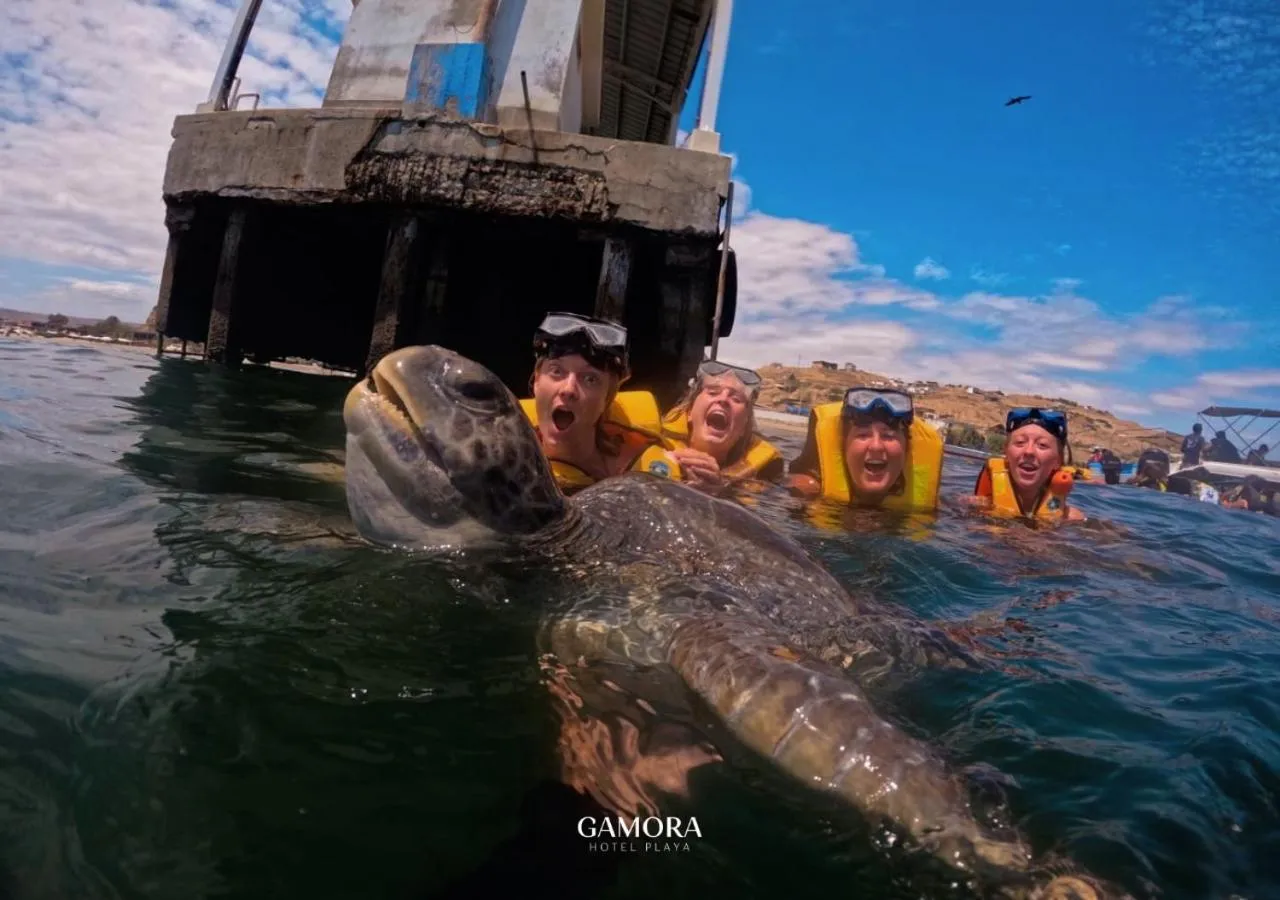 Beach in Gamora Hotel Playa