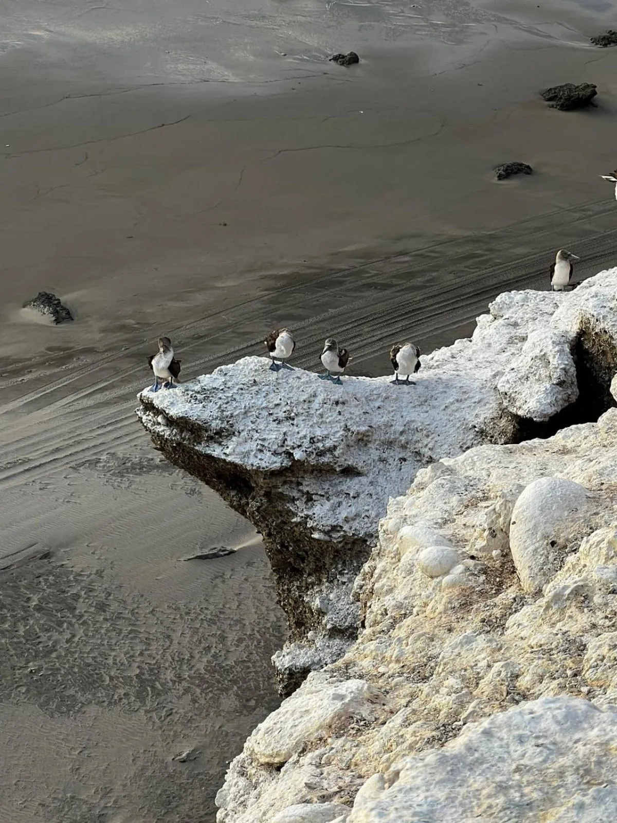 Natural landscape in Gamora Hotel Playa