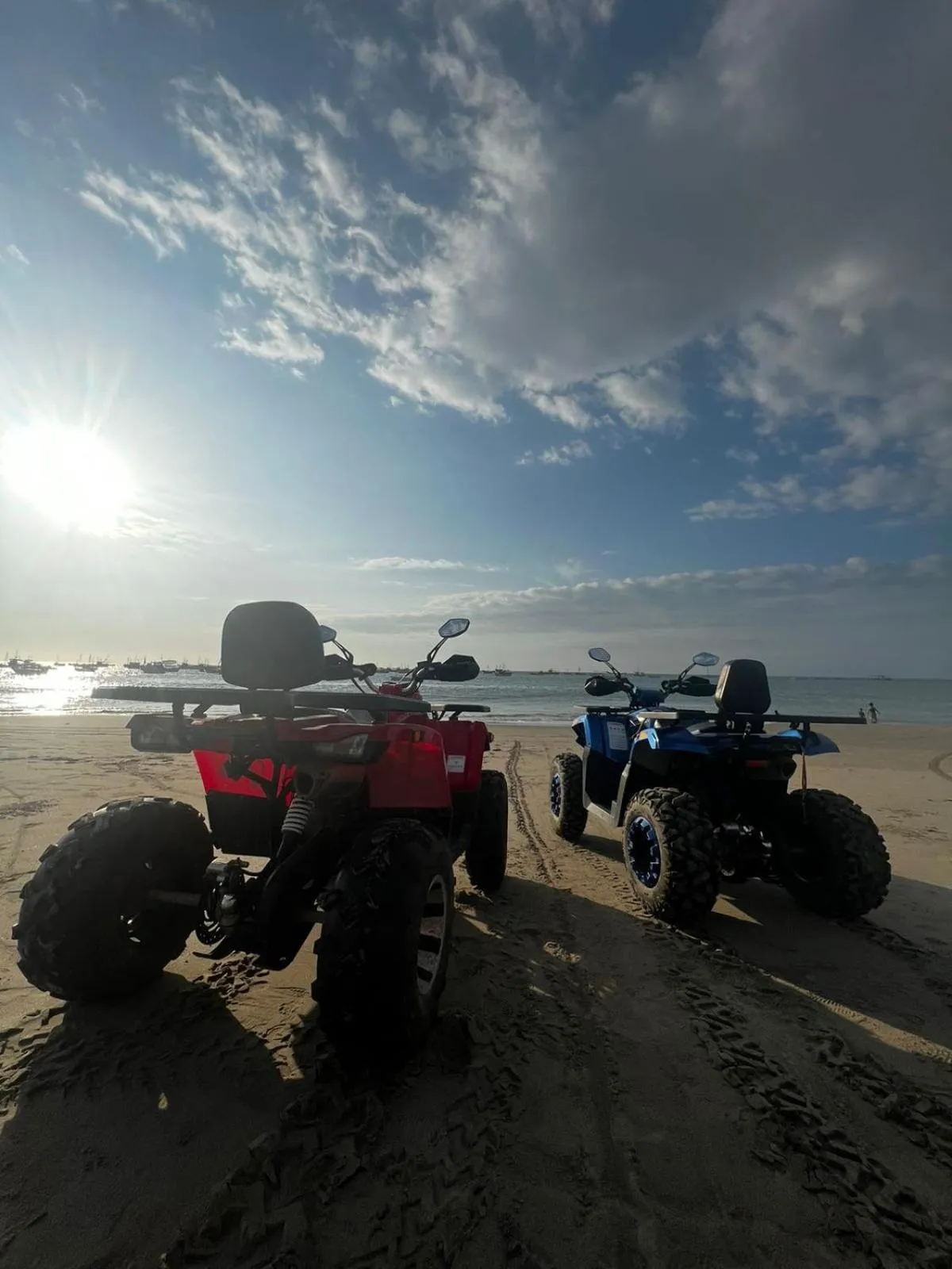 Natural landscape in Gamora Hotel Playa