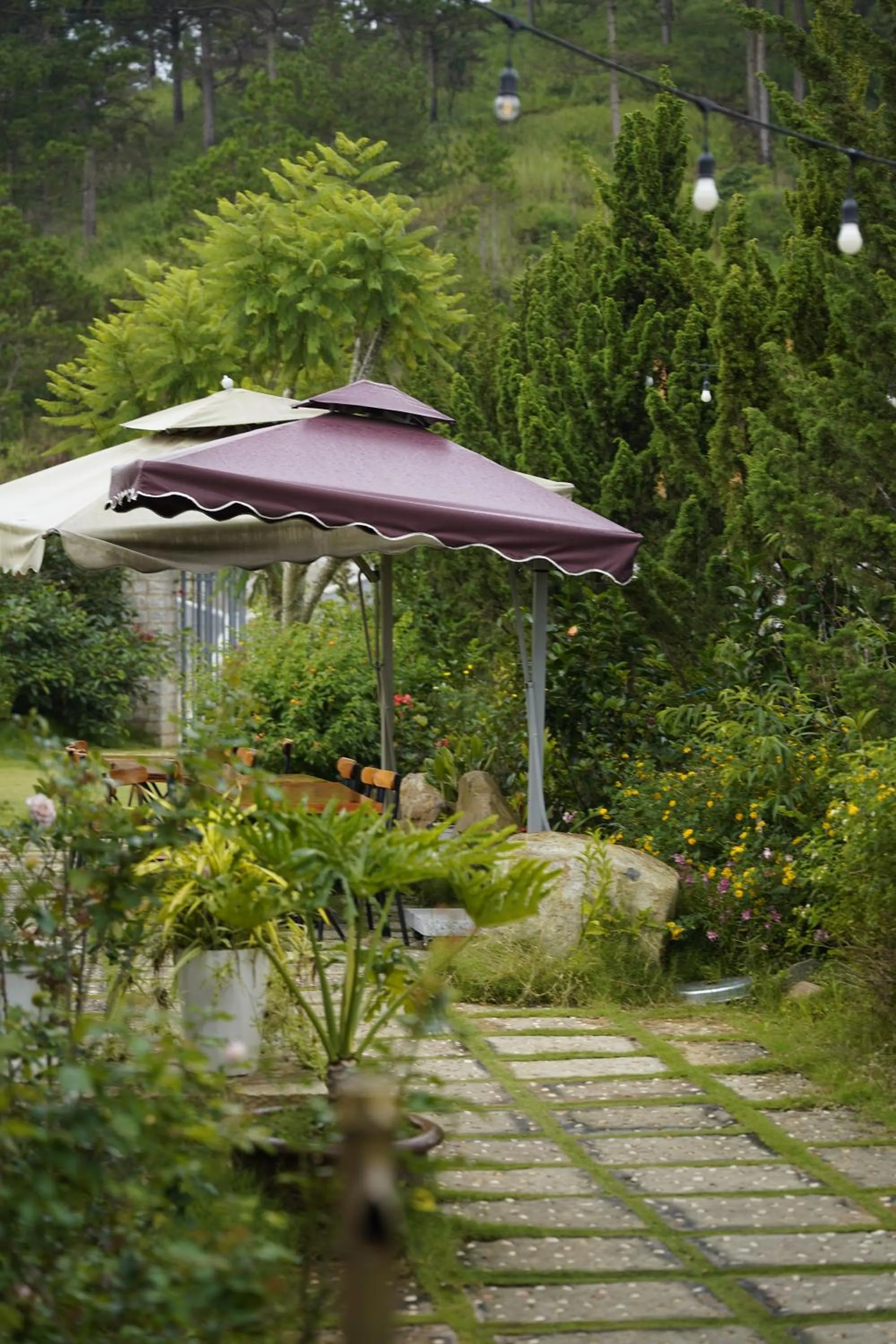 Garden in GREENECO DA LAT HOTEL - Khách sạn Green Eco Đà Lạt