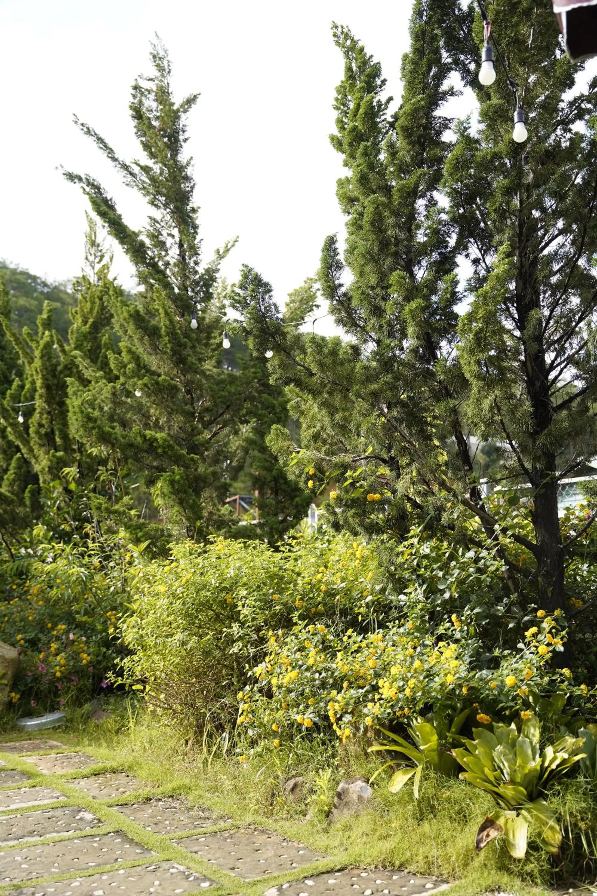 Garden in GREENECO DA LAT HOTEL - Khách sạn Green Eco Đà Lạt