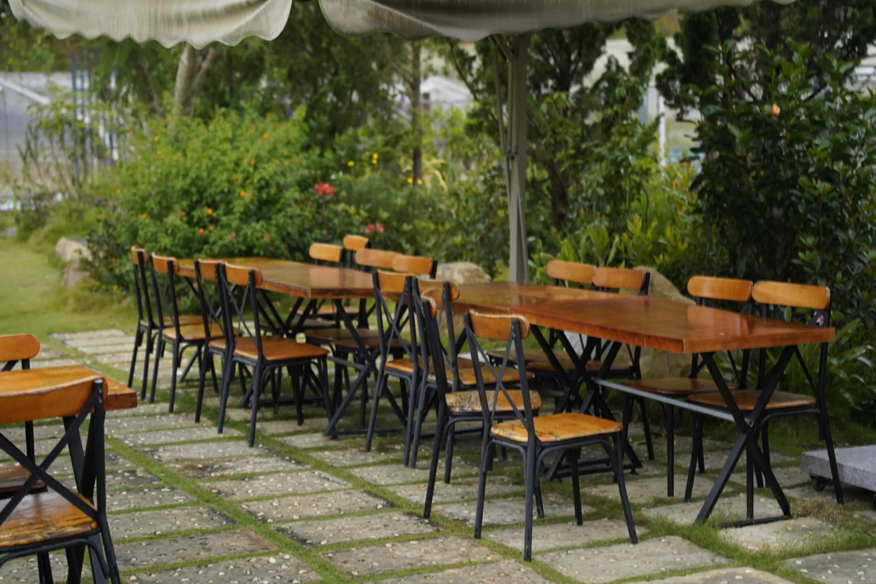 Garden in GREENECO DA LAT HOTEL - Khách sạn Green Eco Đà Lạt