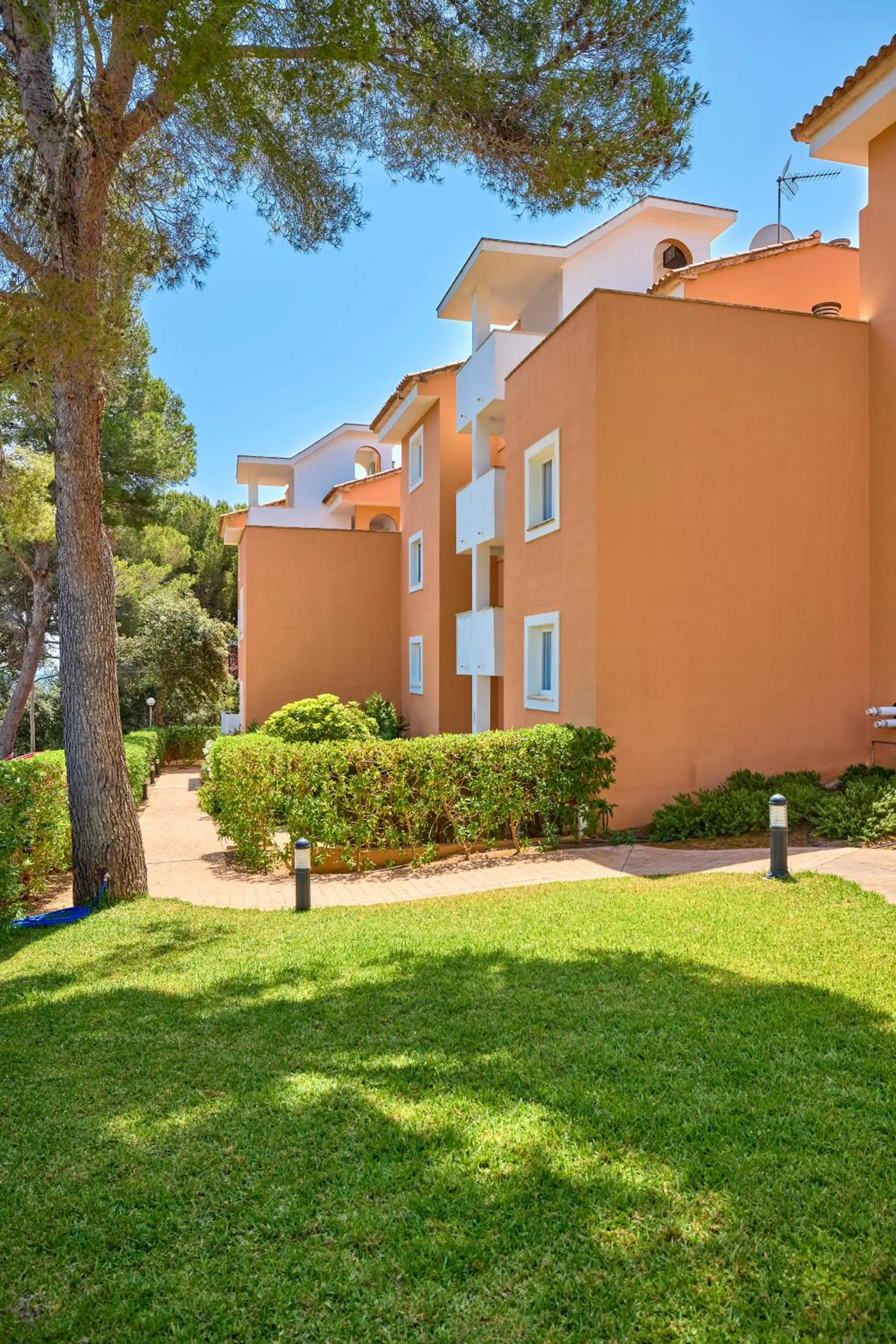 Garden in Universal Apartamentos Laguna Garden