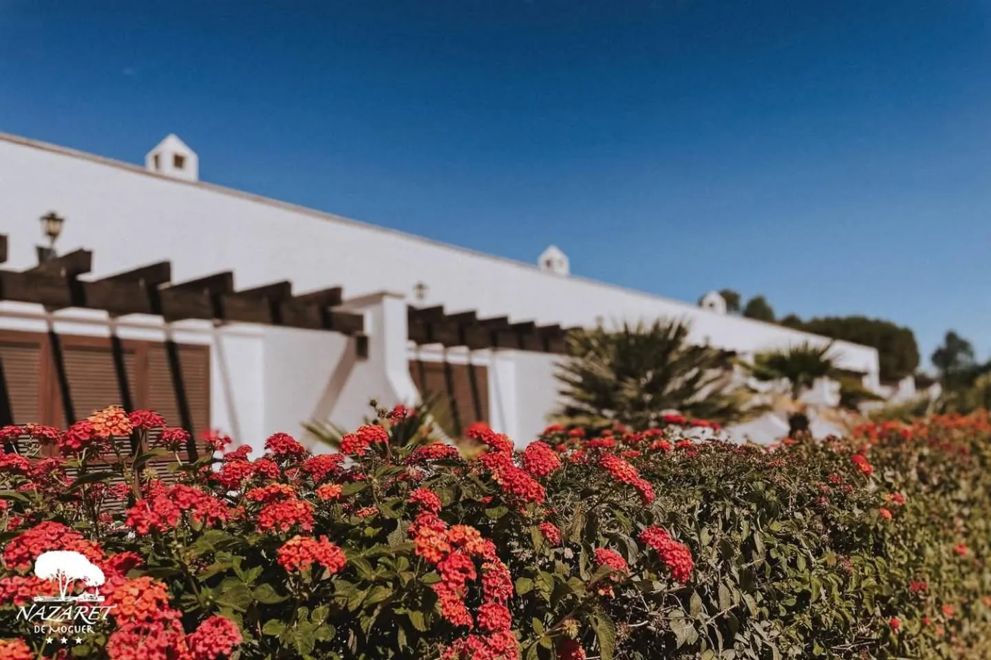 Garden in Complejo Turístico Rural Nazaret De Moguer