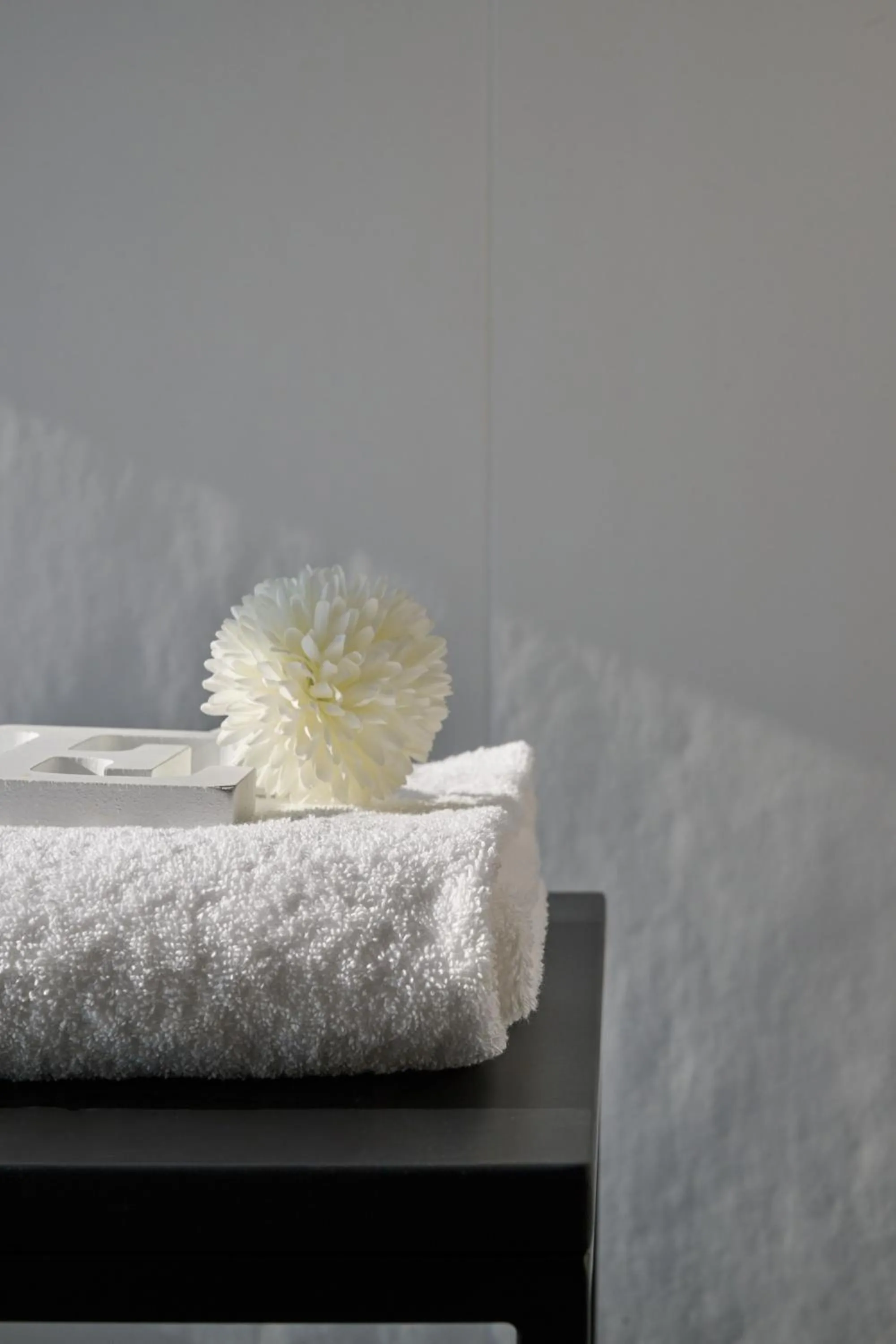 RMH Modena Raffaello