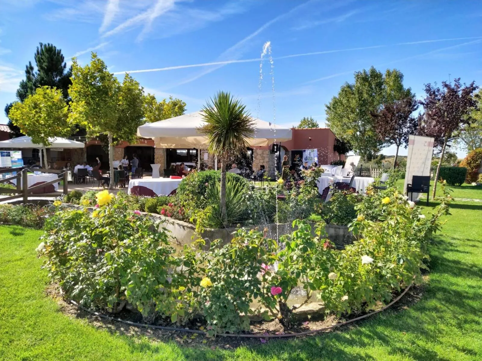 Restaurant/places to eat in Hotel Mozárbez Salamanca